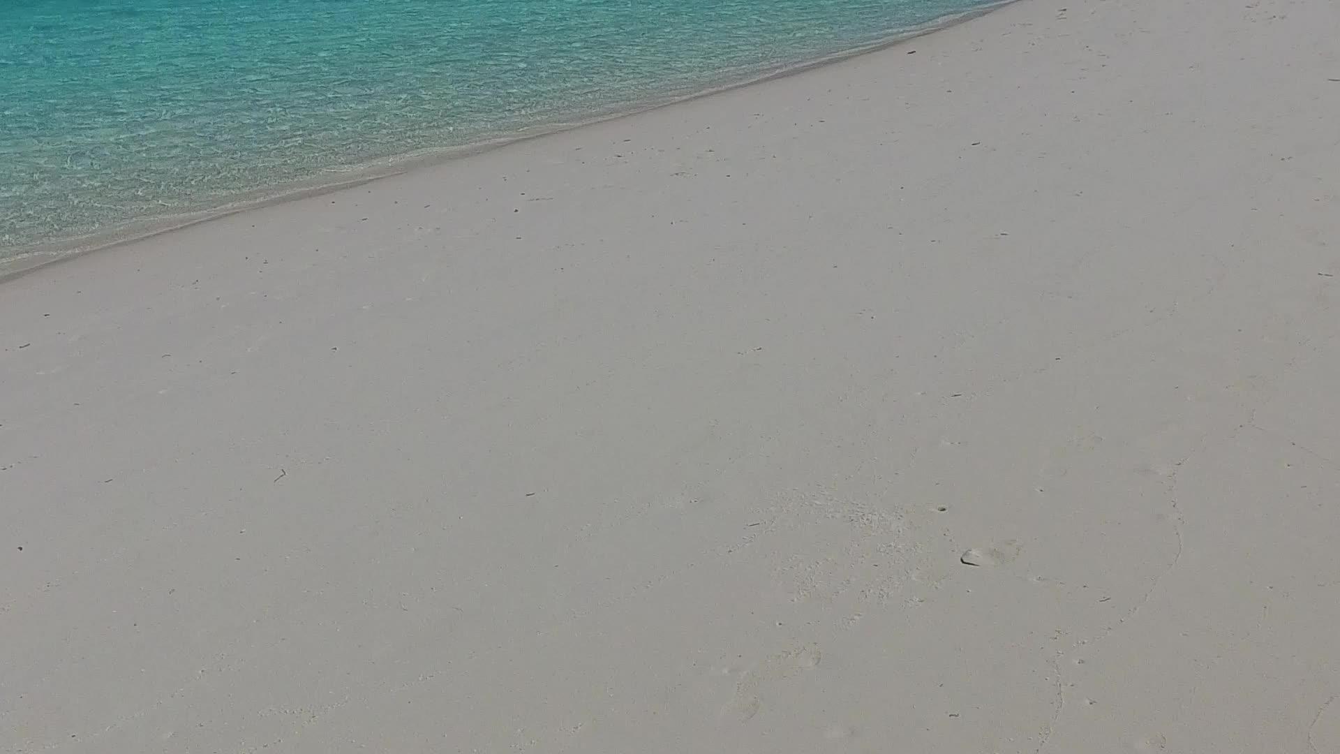 棕榈树附近有明亮的蓝绿色海洋沙质背景享受豪华旅游海滩视频的预览图