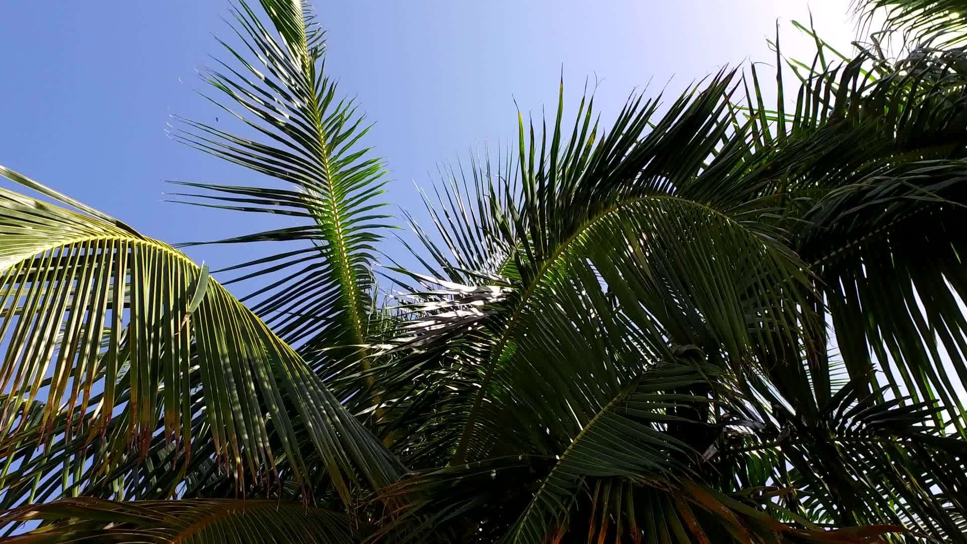 热带海湾海滩的宽角景观从蓝海到白色海滩视频的预览图