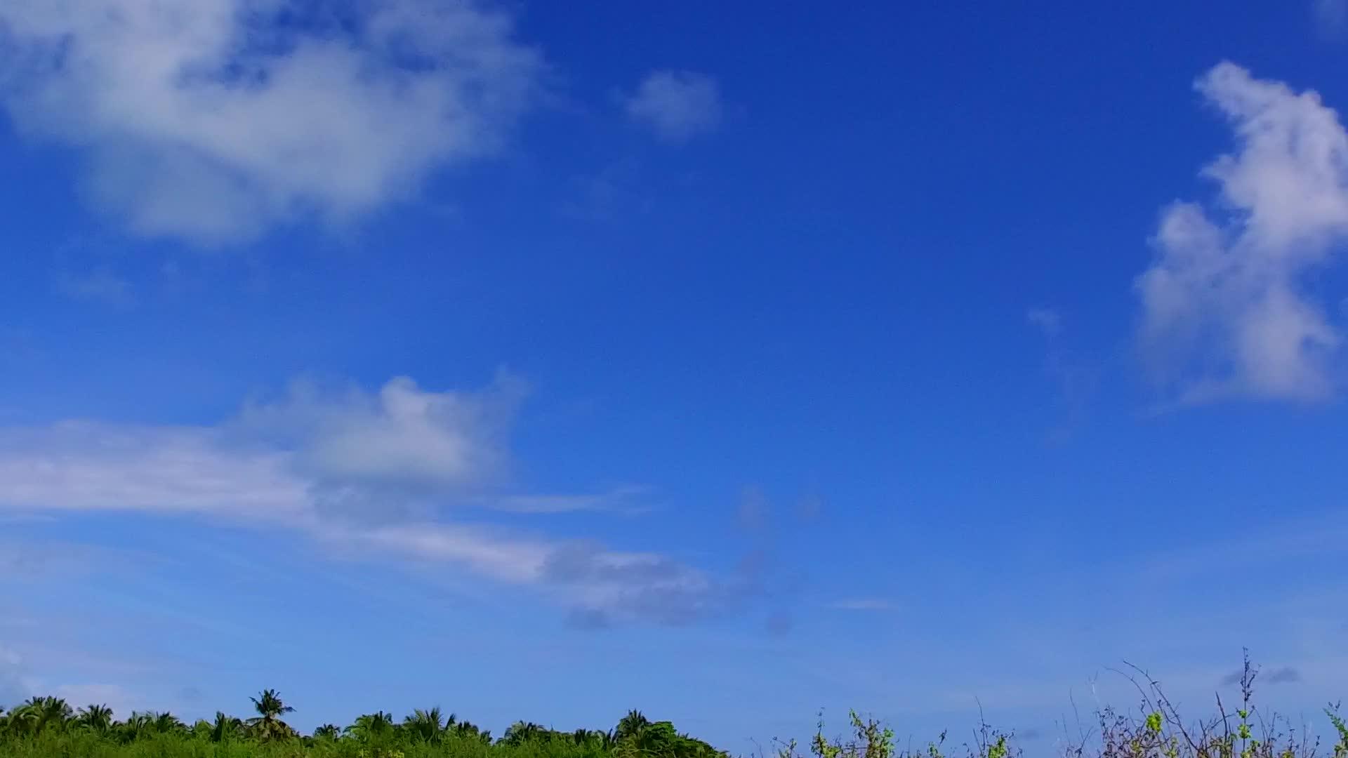 蓝色泻湖和阳光下明亮的沙质背景下的豪华海岸线海滩野生动物视频的预览图