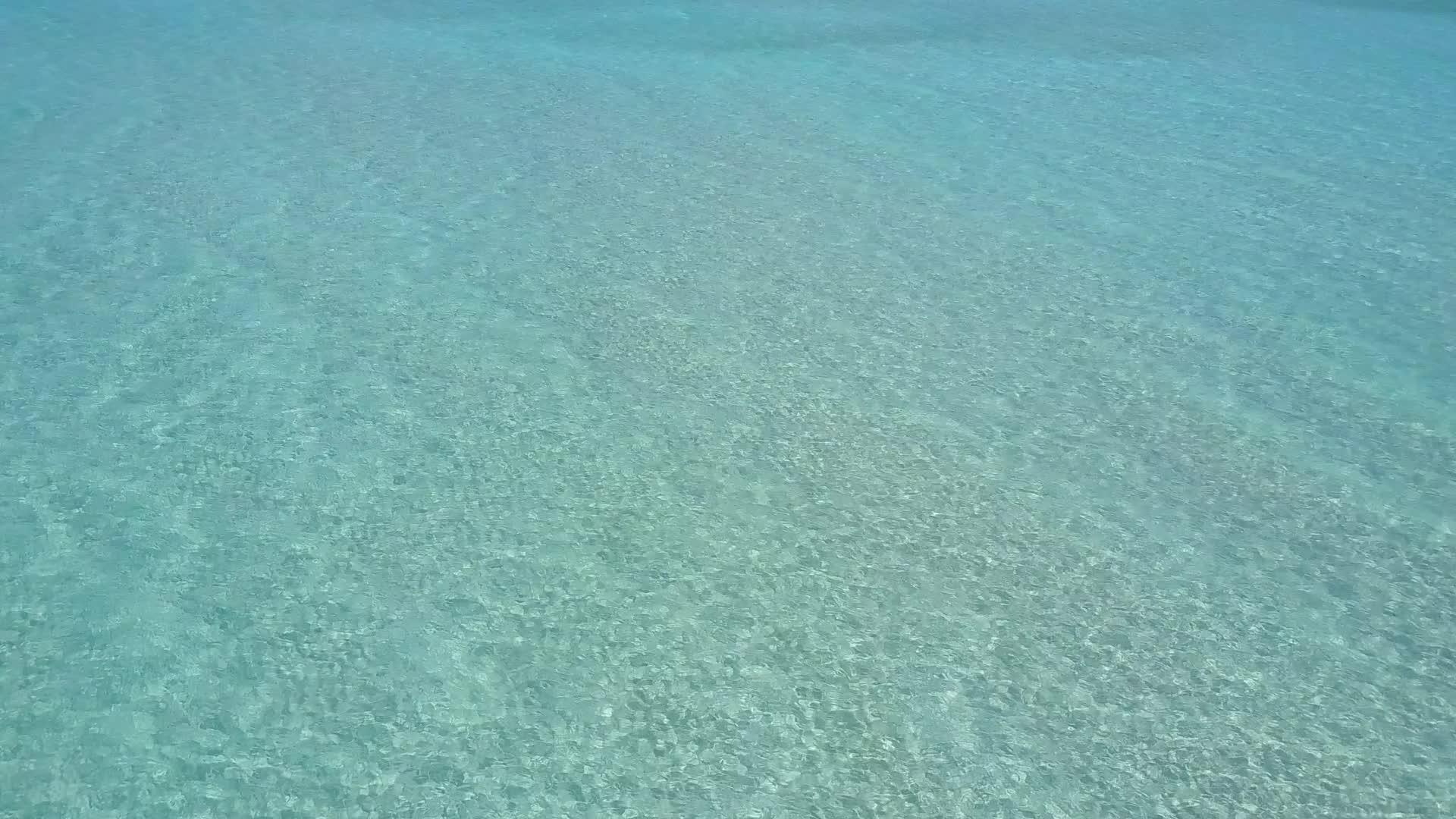 海滨海滩假期的宽角纹理包括松绿环礁湖和棕榈树附近的清洁视频的预览图