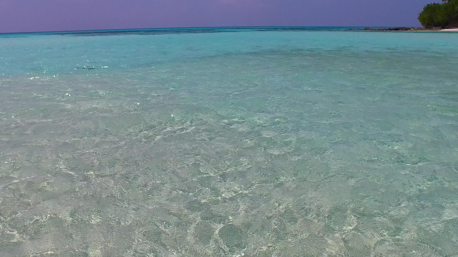 由绿色海洋创造的完美海滩时间阳光下有明亮的海滩视频的预览图