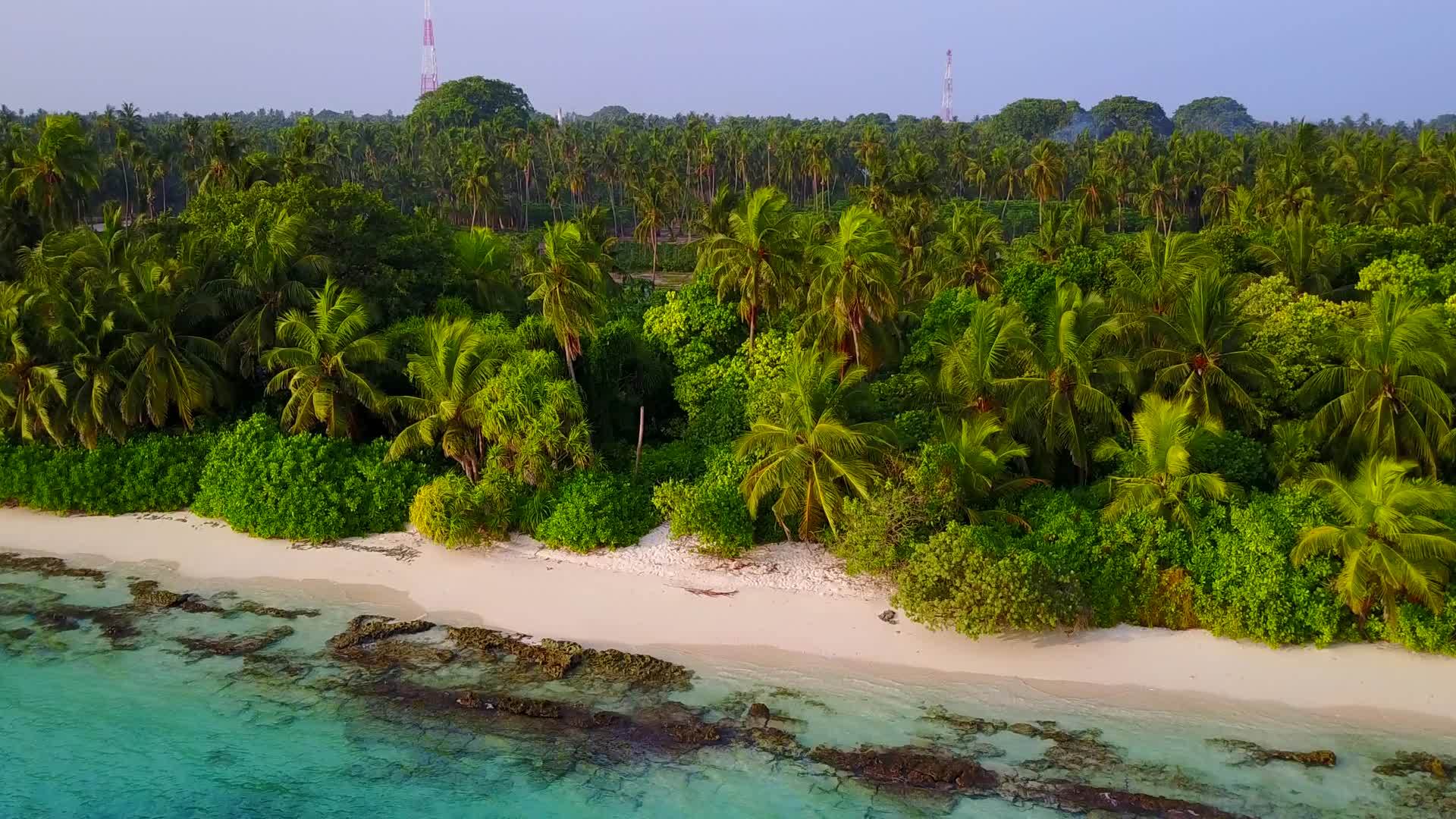 复制田园诗般的海景和海滩空间全景在棕榈树附近视频的预览图