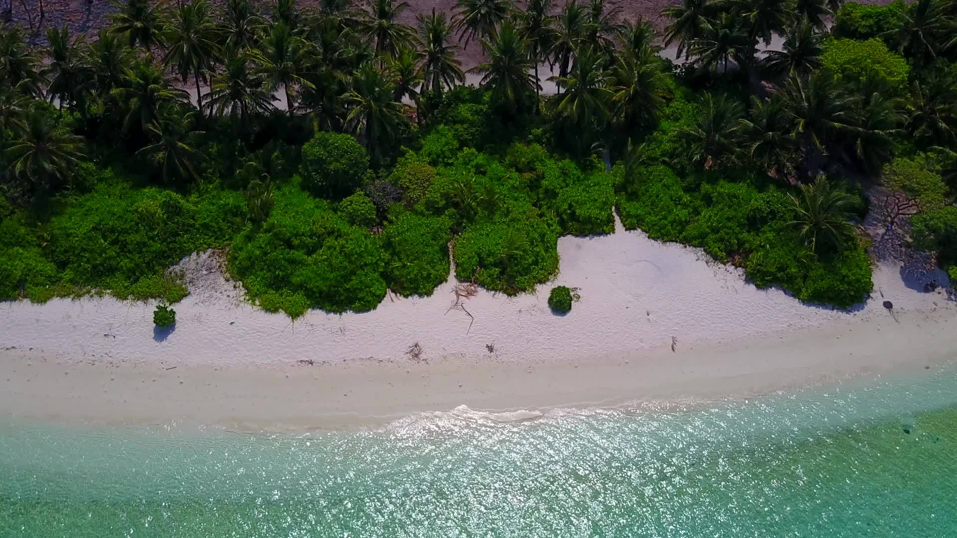 复制天堂度假村海滩度假区的空间：浅海和珊瑚礁附近的白沙视频的预览图