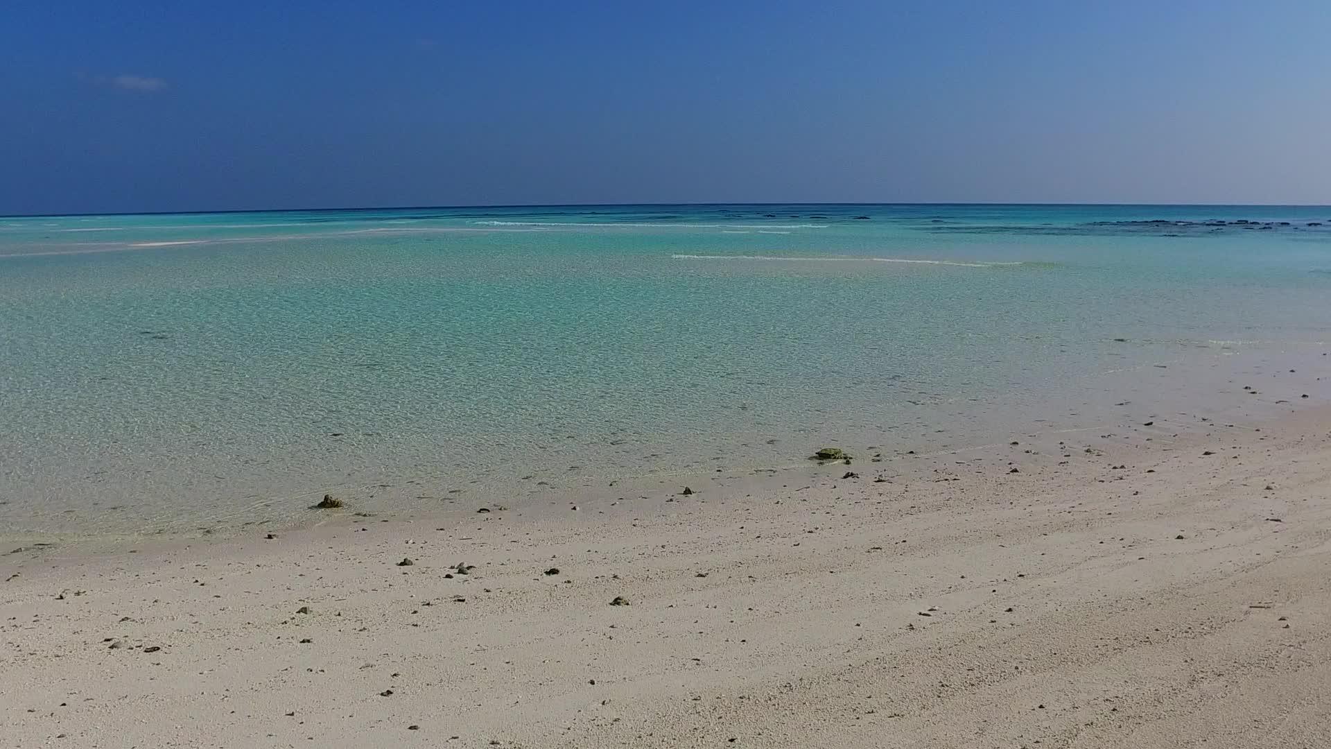 蓝绿色海洋野生生物亚特兰地附近有白色沙滩背景的蓝绿色海洋棕榈视频的预览图