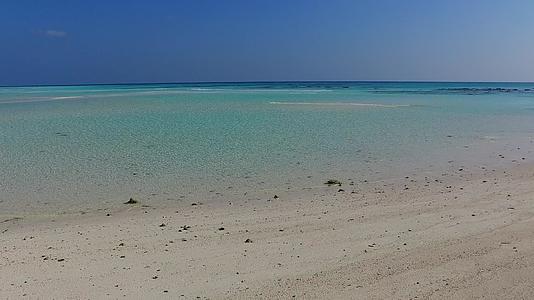蓝绿色海洋野生生物亚特兰地附近有白色沙滩背景的蓝绿色海洋棕榈视频的预览图