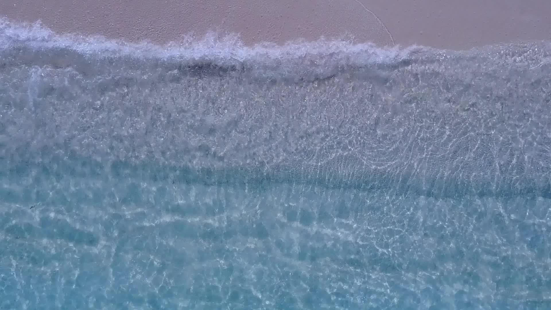 蓝色环礁棕榈树附近有一个白色的沙滩背景视频的预览图