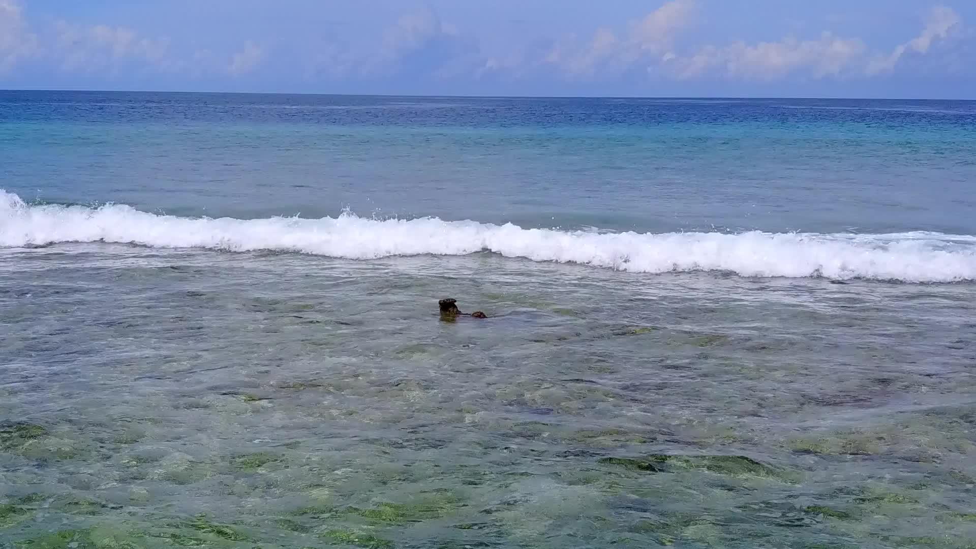 蓝环礁棕榈树附近有一个白色的沙滩背景白湖观赏海滩度假视频的预览图