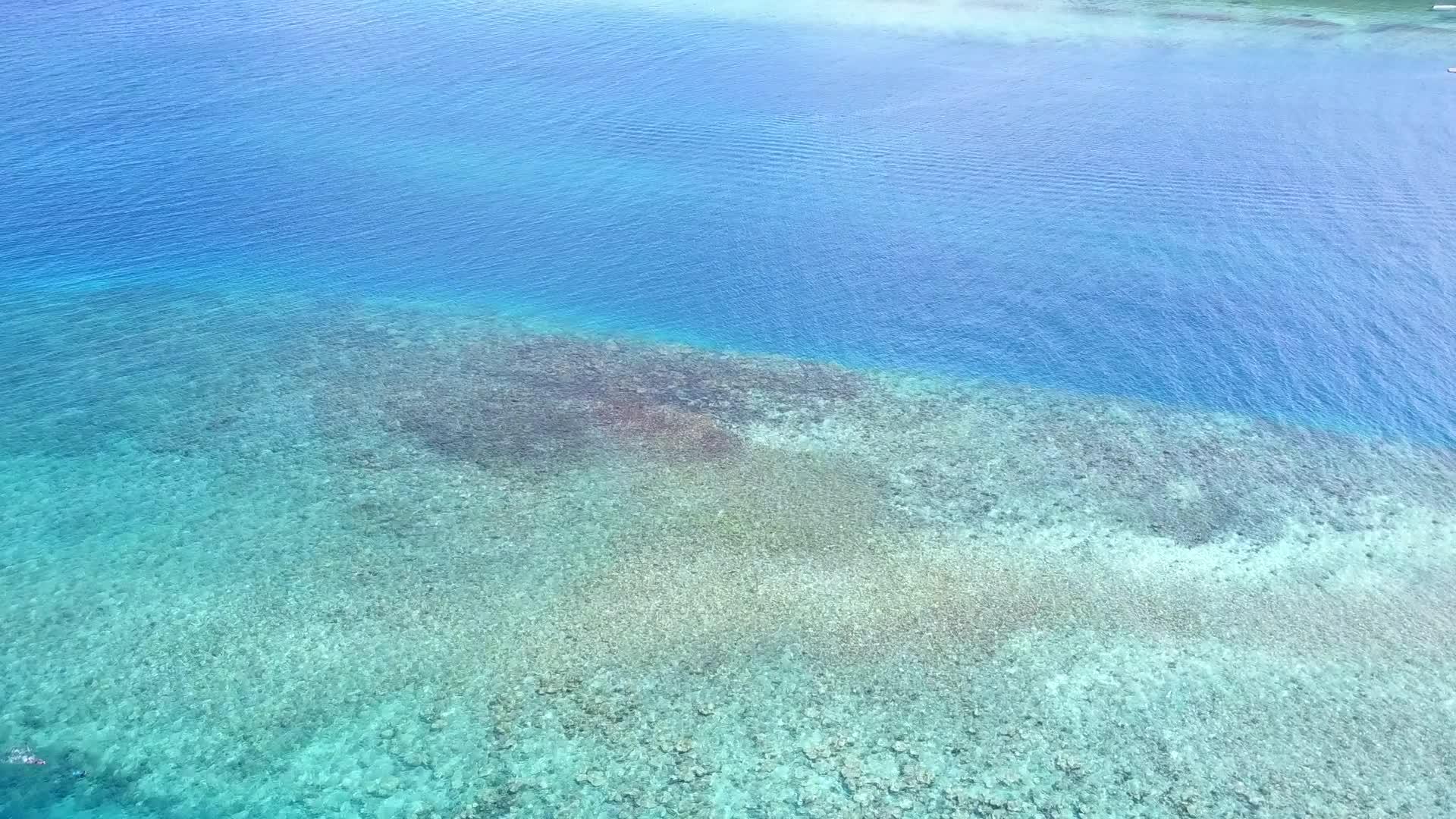 白沙的背景是白天的风景靠近棕榈的蓝色海滨海滩时间视频的预览图