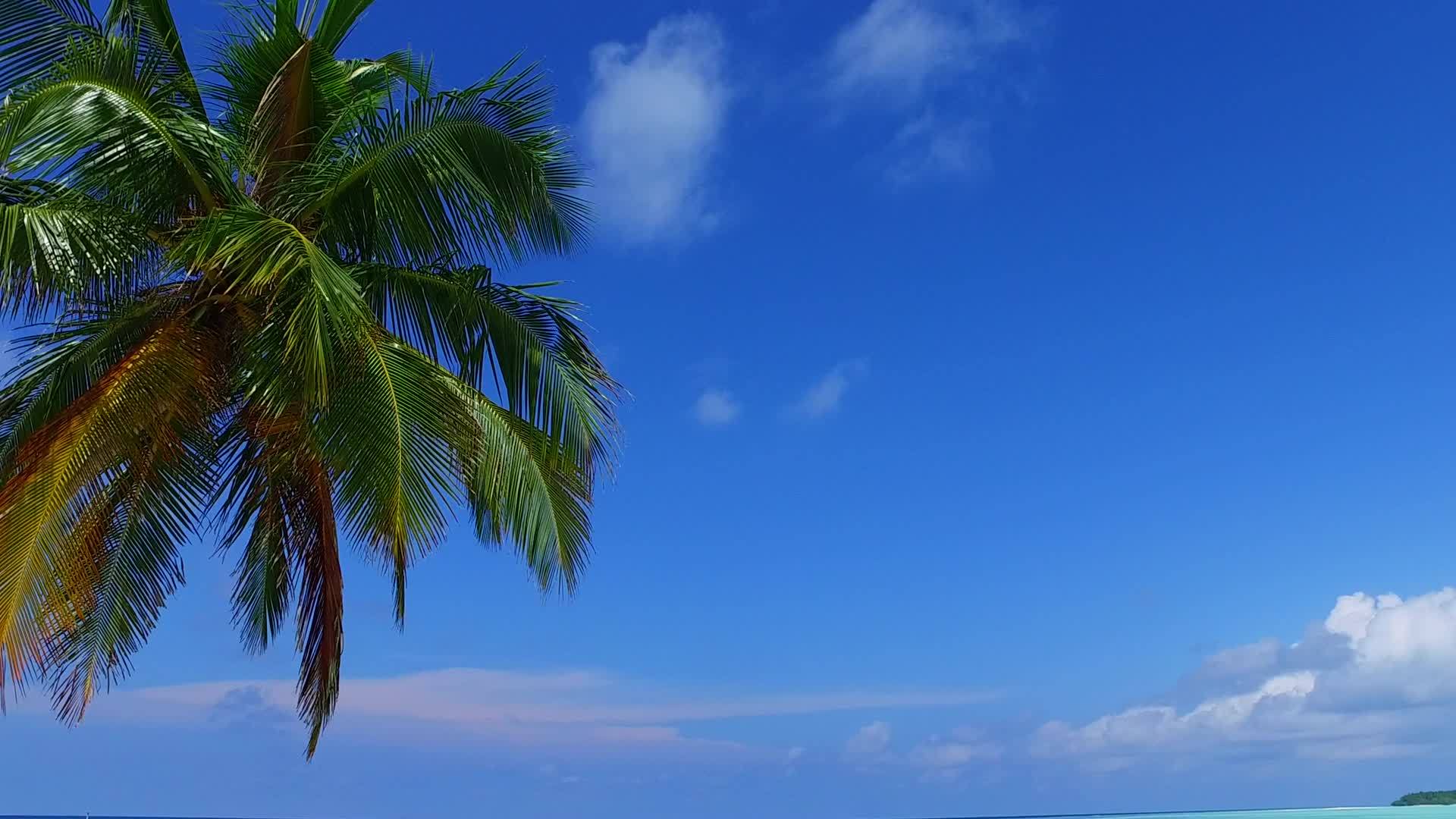 美丽的海色环礁湖和棕榈树附近的白色沙滩背景视频的预览图
