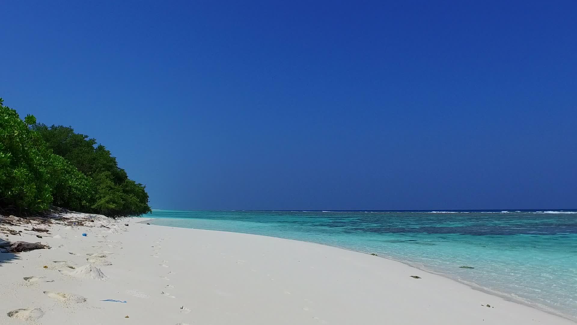 蓝色环礁湖和接近冲浪的白色海滩背景下的豪华海滩视频的预览图
