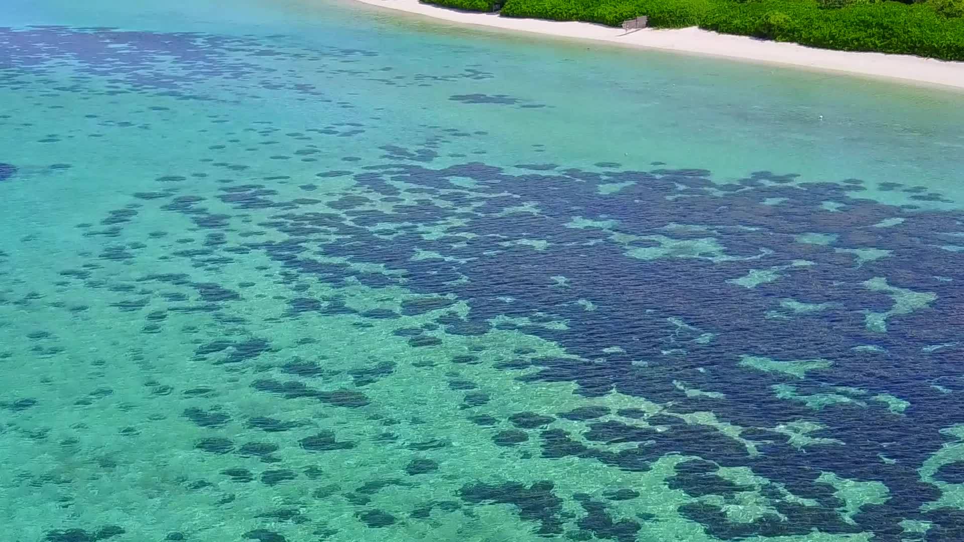 蓝海旅行在蓝色的海面上珊瑚礁附近有白色的沙子背景视频的预览图