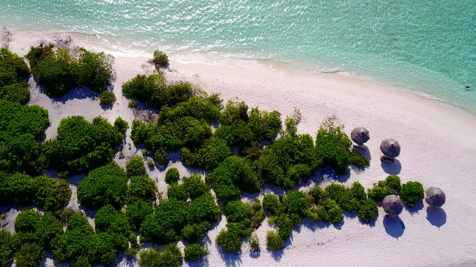 在沙巴海滩附近有透明的水和白色的沙底白色背景视频的预览图
