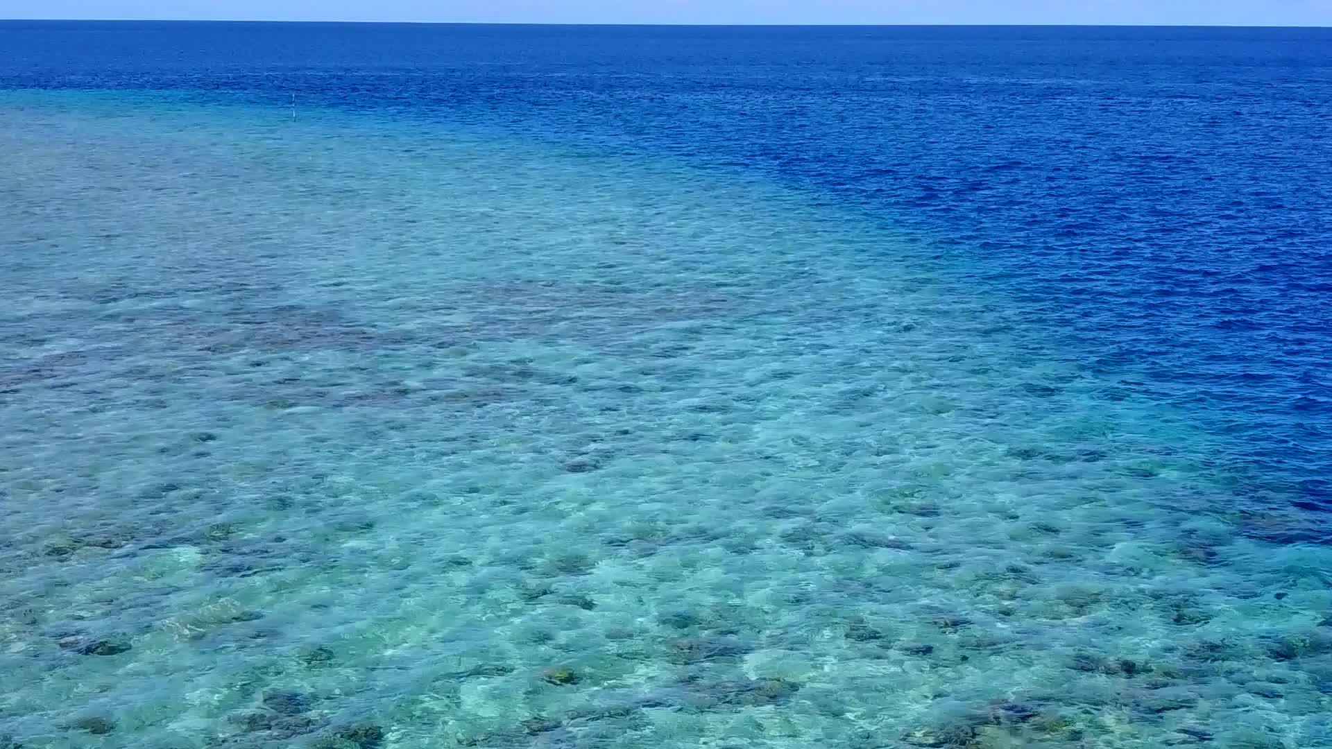 日出后的蓝色海洋和白色海滩背景下的豪华海岸线野生生物空间视频的预览图