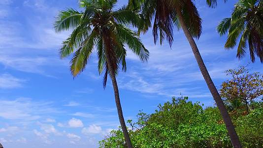 日出后蓝海和白沙的背景是热带海岸线海滩度假的开放景观视频的预览图