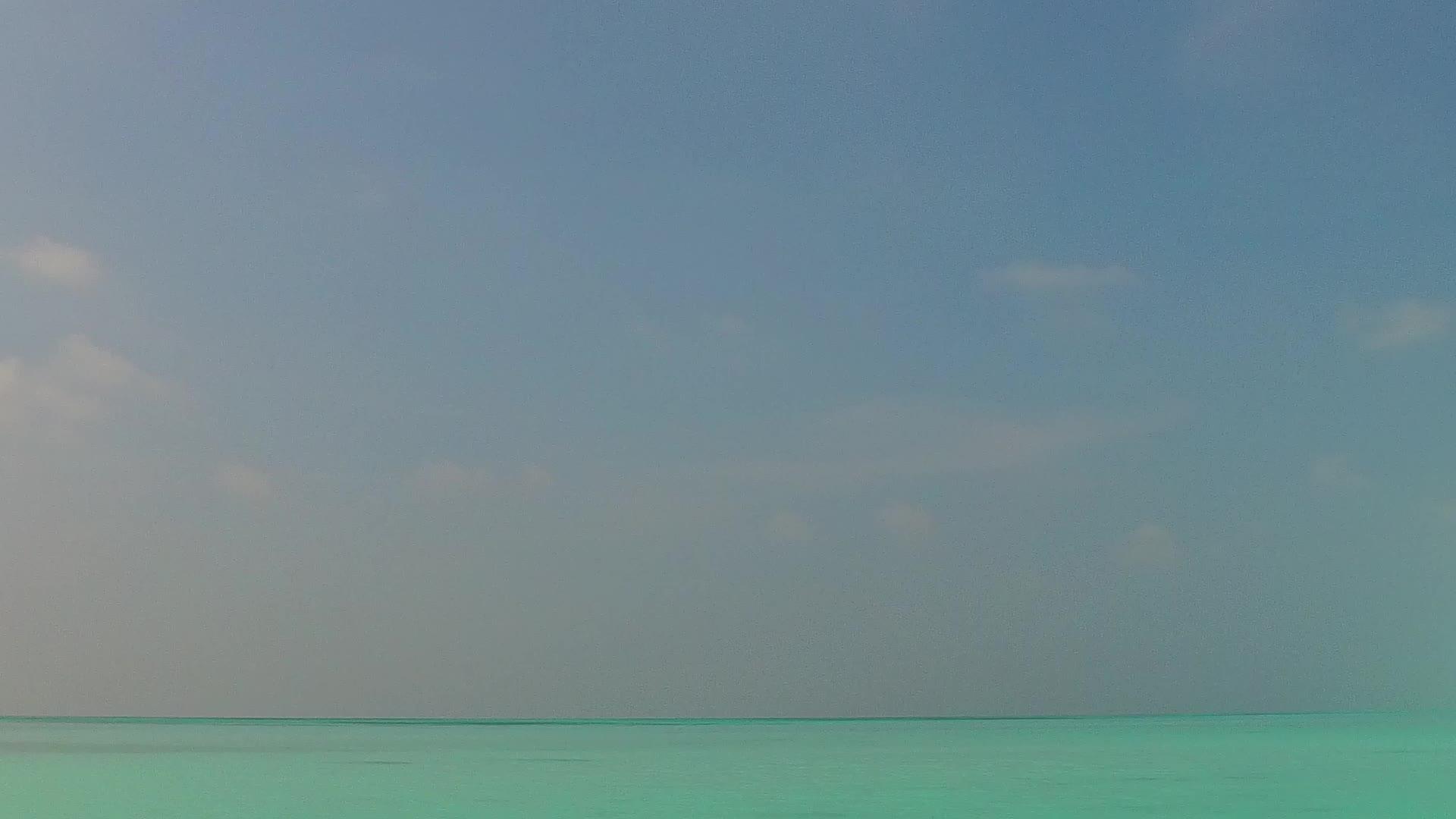 美丽的沿海地区通过棕榈树附近清晰的环礁湖和白色海滩背景复制视频的预览图