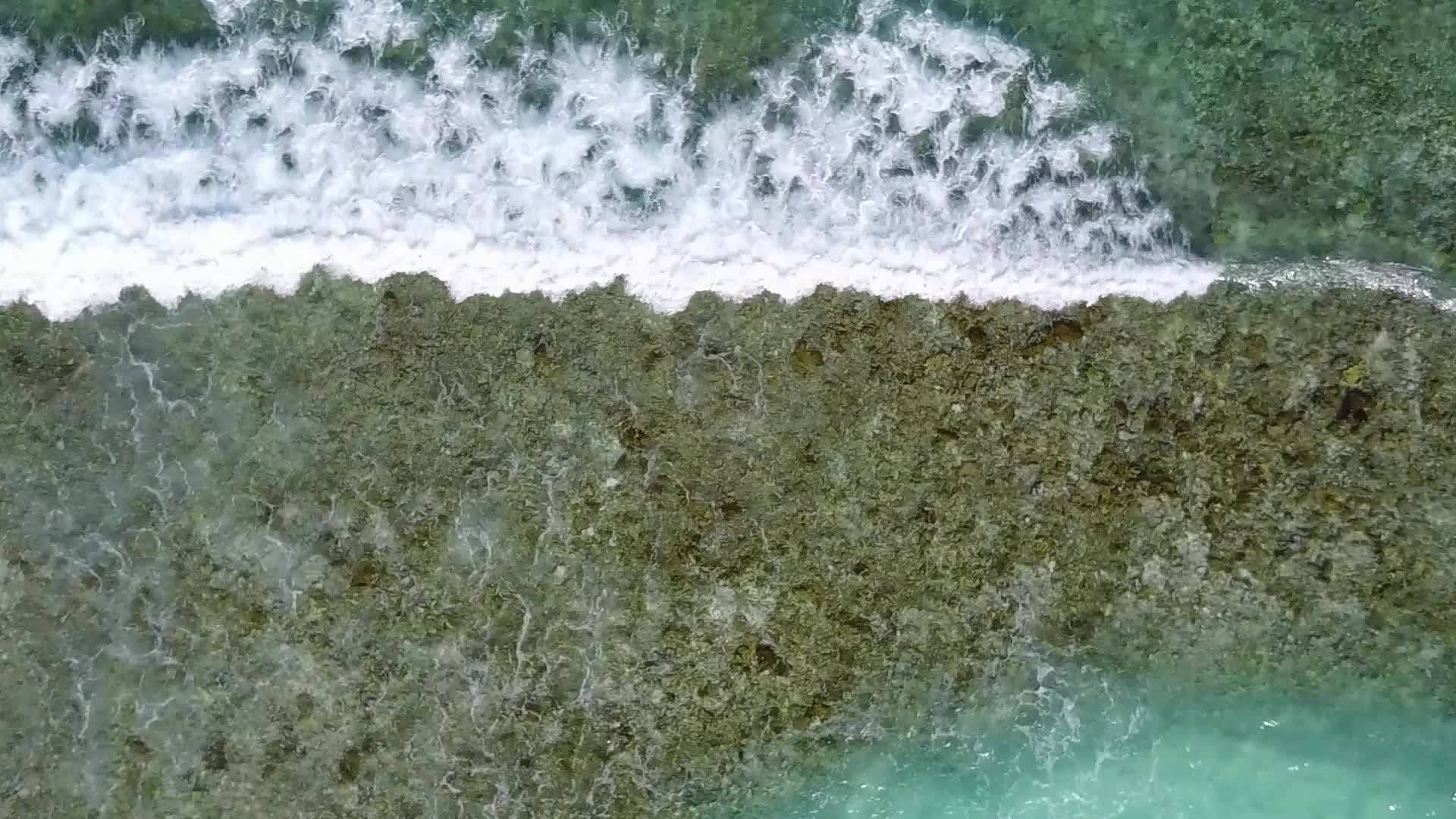 棕榈树附近的白沙背景是浅海完美的海滩野生生物视频的预览图