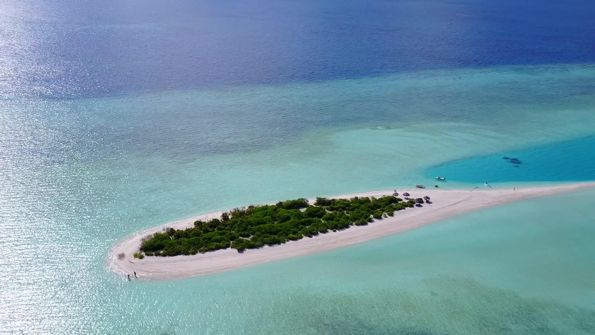 棕榈树附近的绿水和白色沙滩上的海滩探险视频的预览图