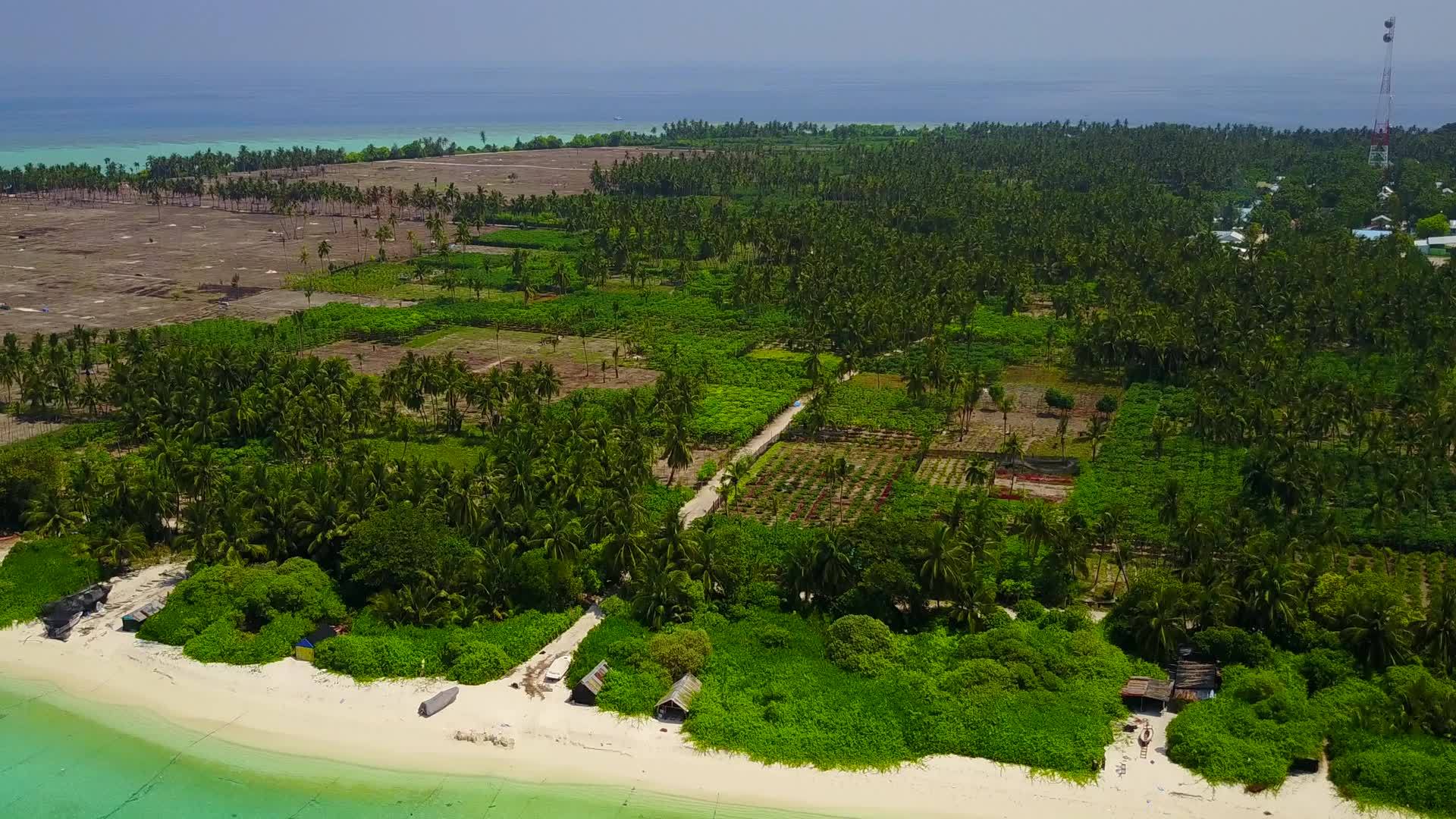 在棕榈树附近的透明水中以明亮的沙滩背景观赏海滩度假风景视频的预览图