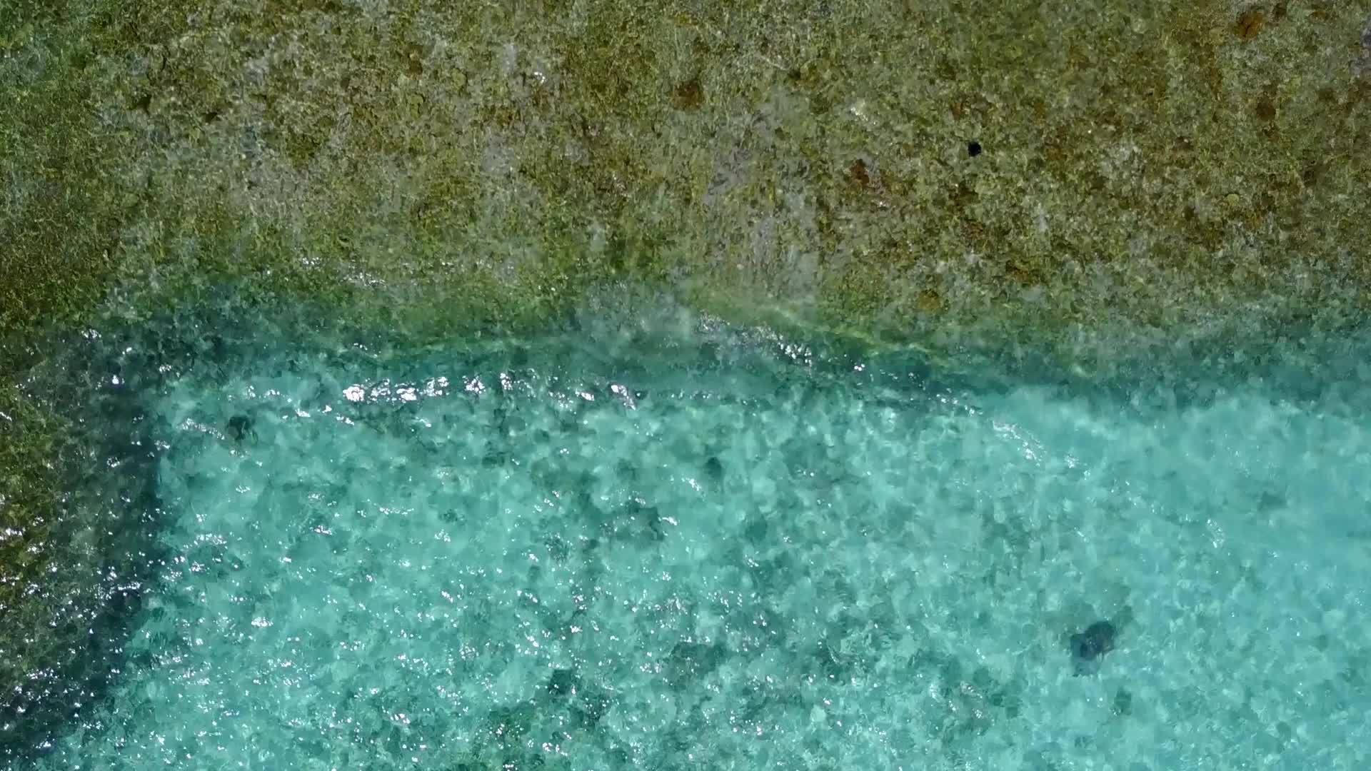 明亮的沙质背景在阳光下浪漫的海洋海岸线海滩之旅视频的预览图
