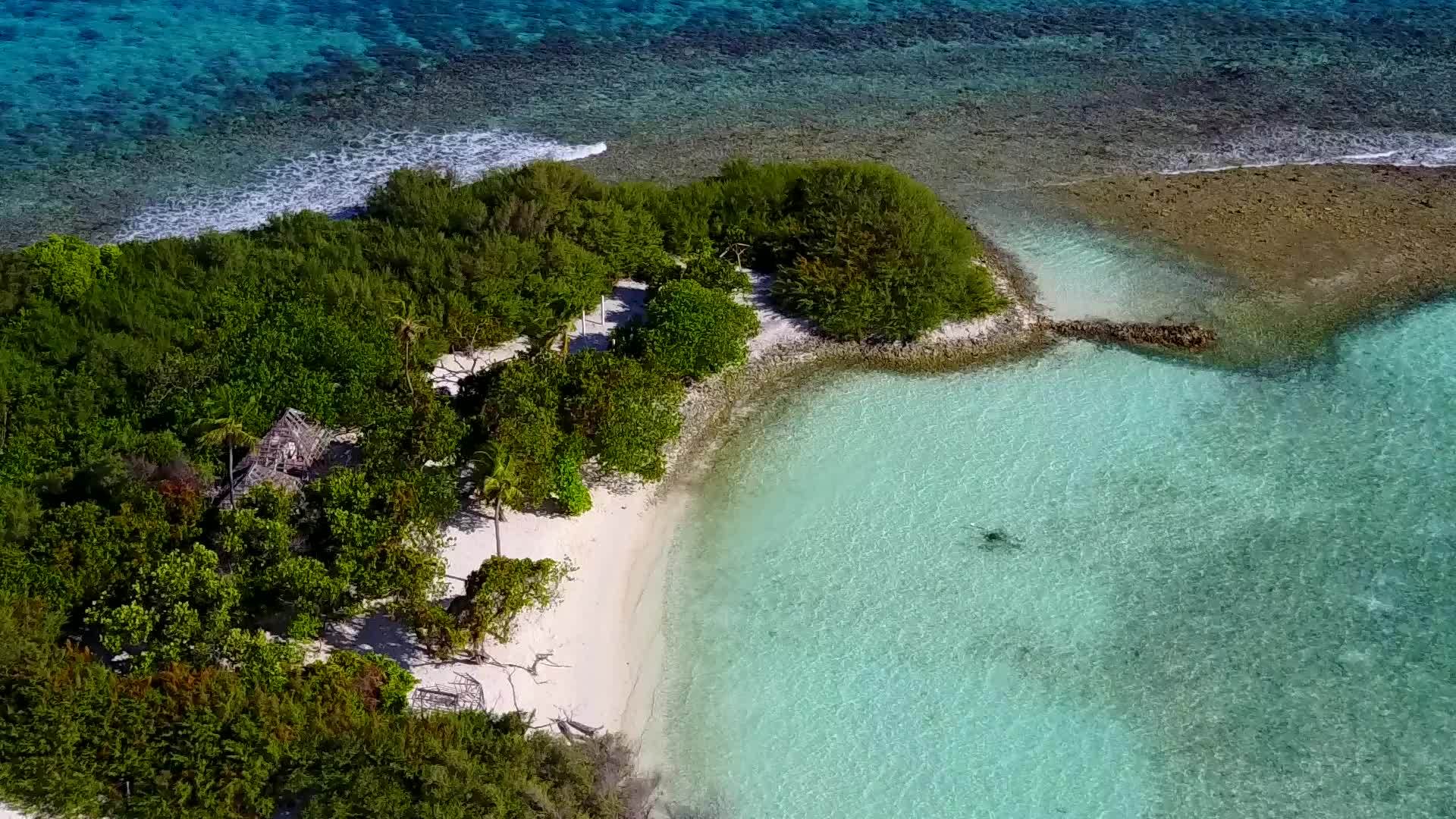 环礁湖周围的蓝色海滩和度假胜地附近的浅沙背景视频的预览图