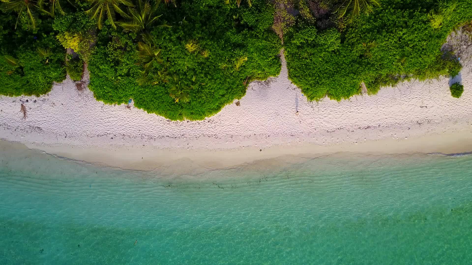 在浅海和海滩附近的浅沙背景下浅沙是一个安静的环礁湖海滩视频的预览图
