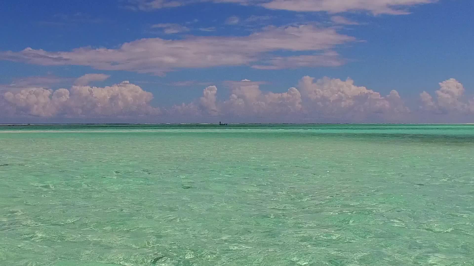 以蓝海为例在沙巴附近的浅沙背景下在明亮的蓝色海洋中生活视频的预览图