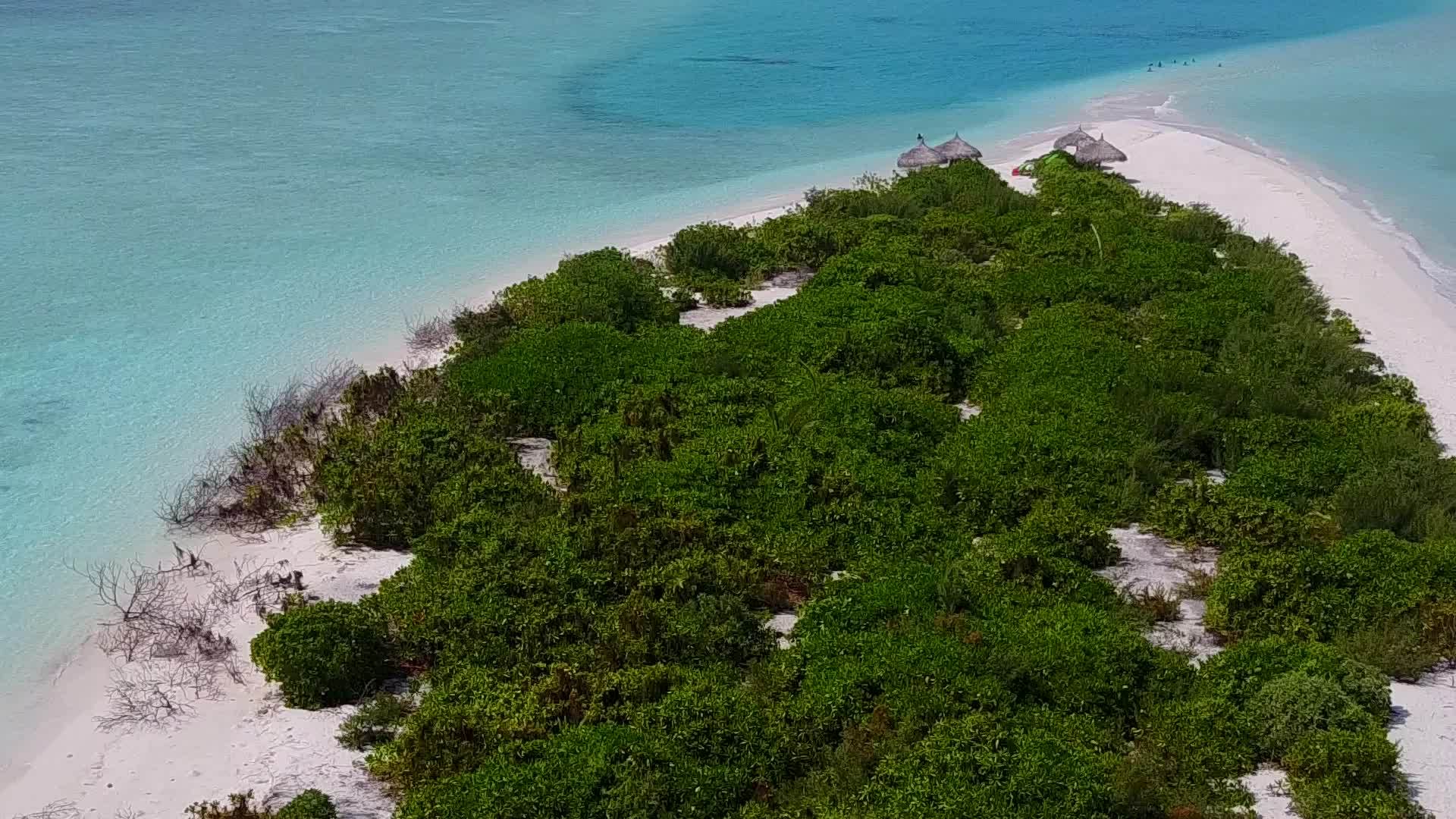 海滩附近白沙背景的蓝水天堂海滩之旅视频的预览图