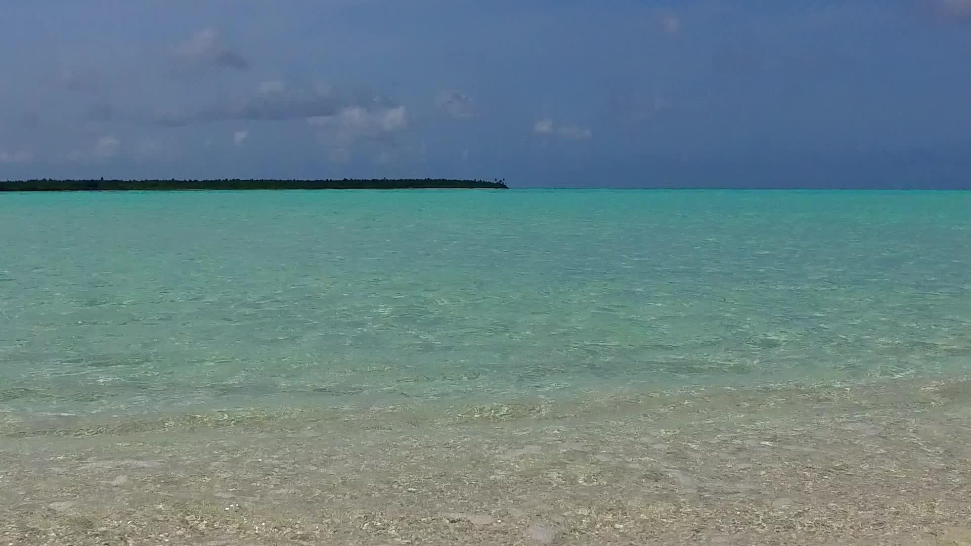 棕榈树附近有清洁的沙土背景蓝色的水靠近美丽的海岸海滩视频的预览图