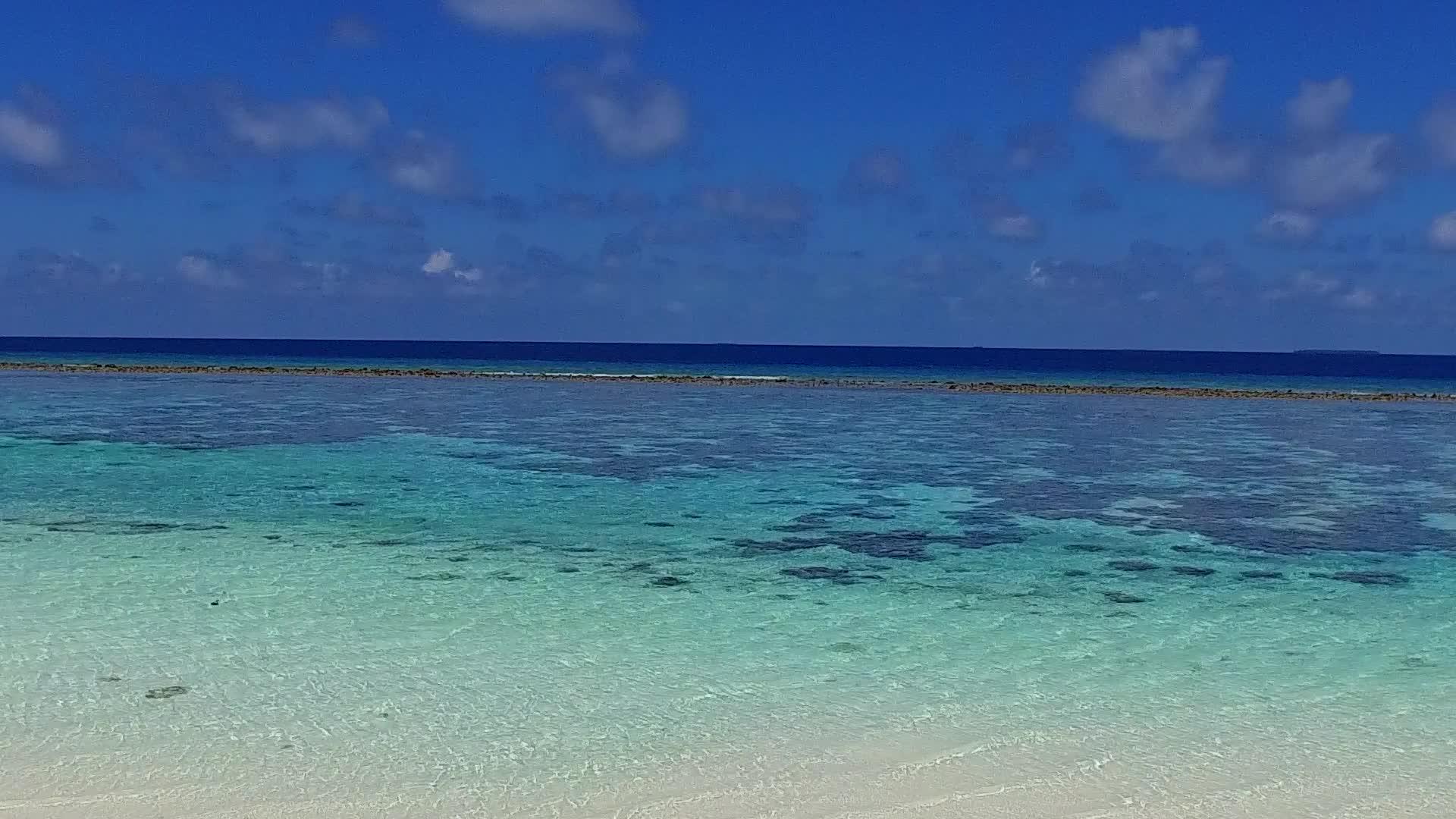 美丽的岛屿海滩野生动物在蓝海和珊瑚礁附近的白沙背景下阳光明媚视频的预览图