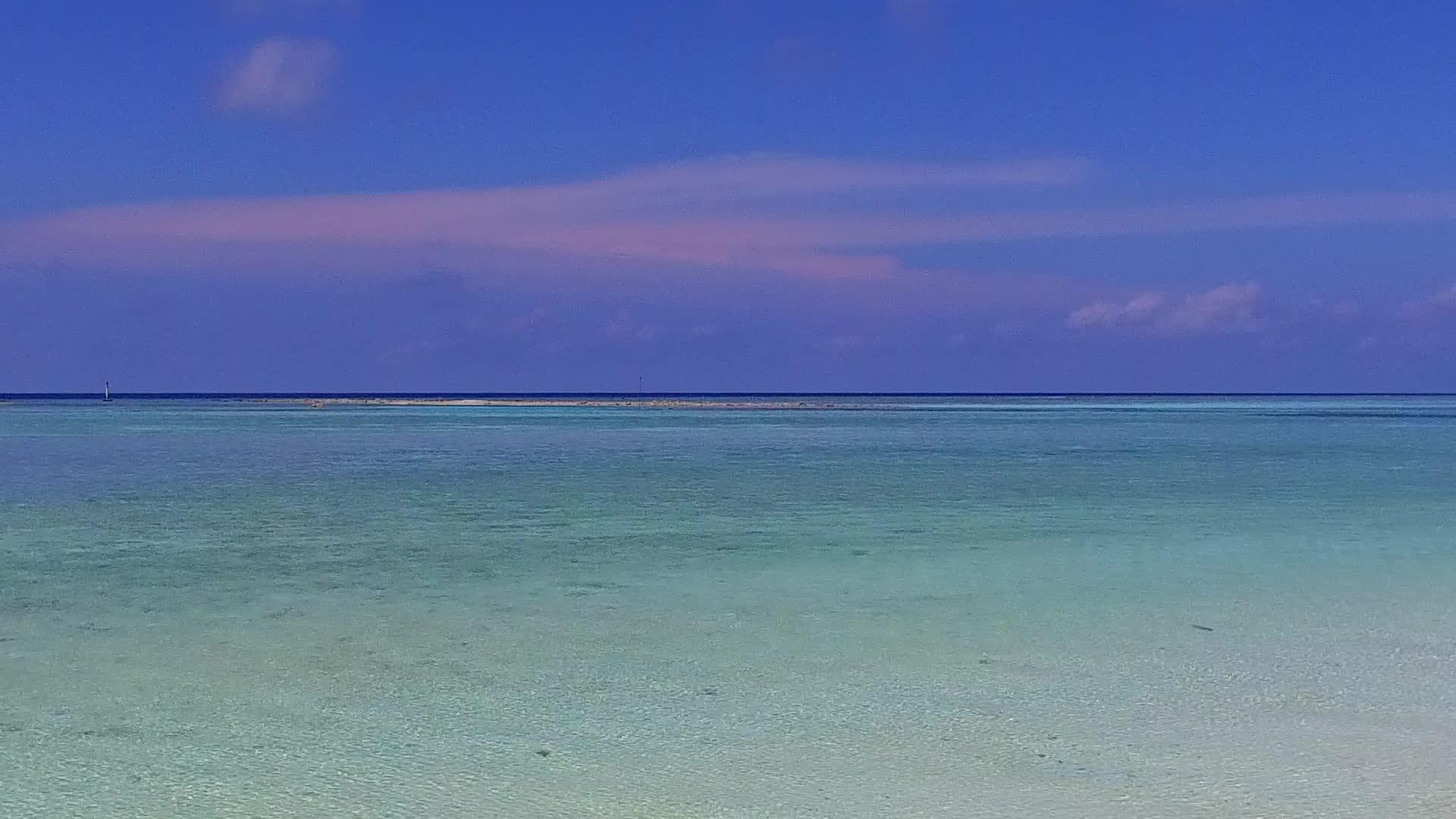 夏季热带海岸海滩时间由松绿海和棕榈树附近的白沙背景组成视频的预览图