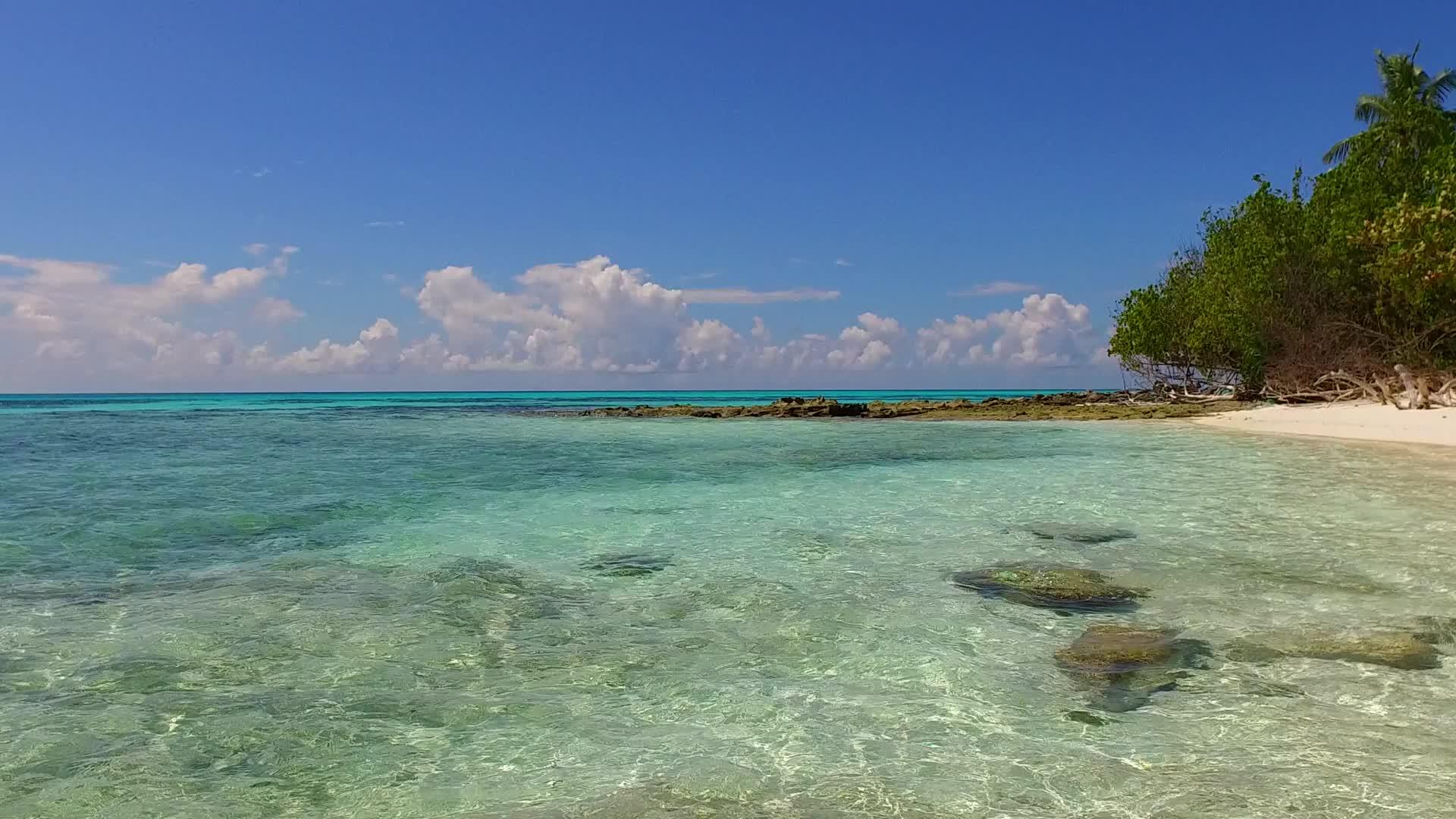 浅海和阳光下沙质背景明亮的海滨海滩阳光明媚视频的预览图
