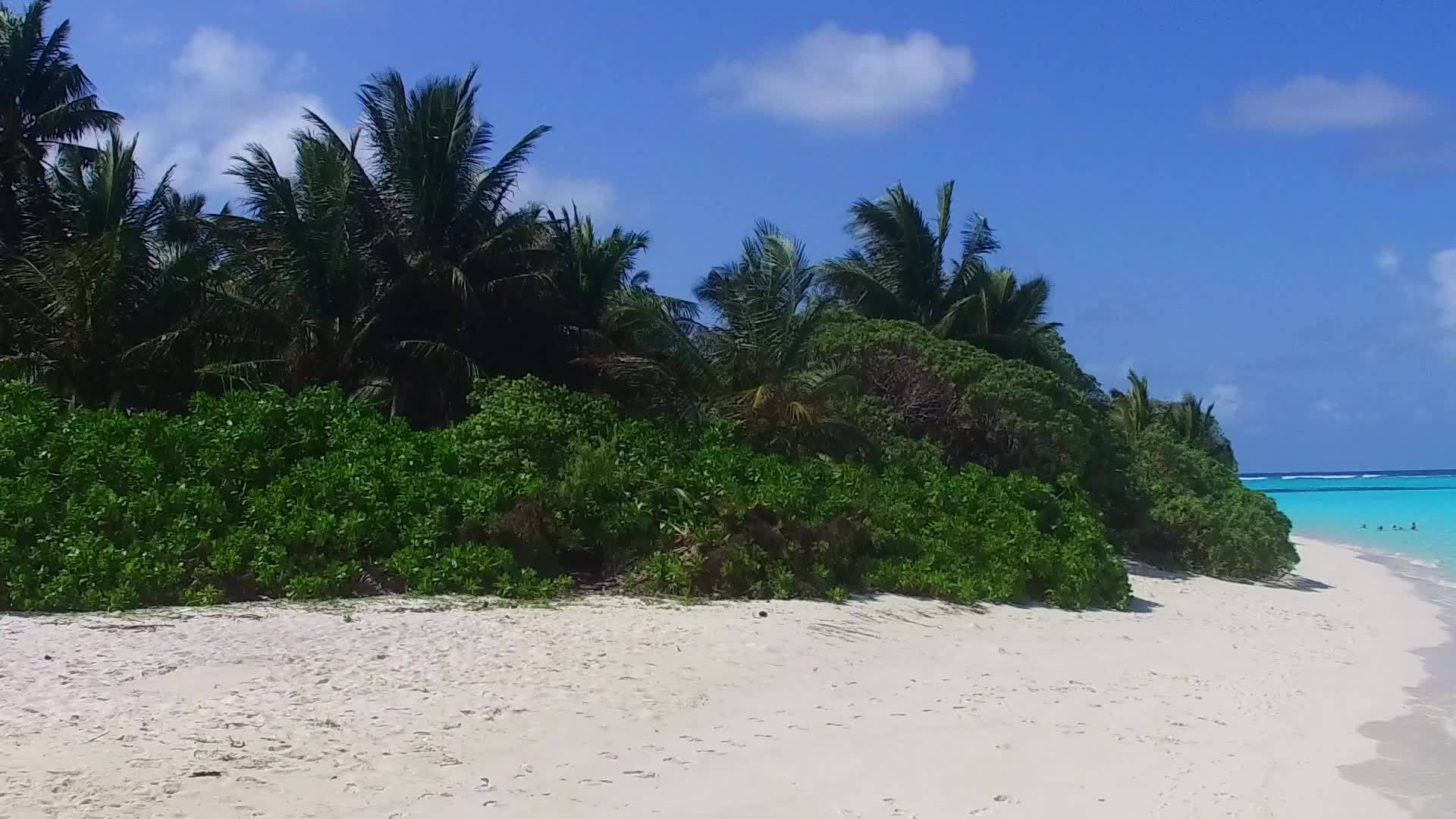 日出后热带海岸海滩的野生生物空间以蓝环礁和白色海滩为背景视频的预览图