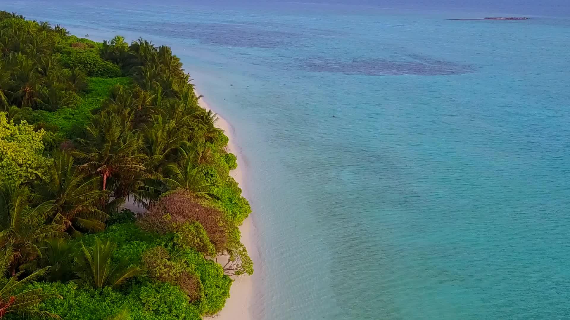 白沙底浅礁湖在冲浪附近度过休闲度假胜地海滩度假胜地视频的预览图