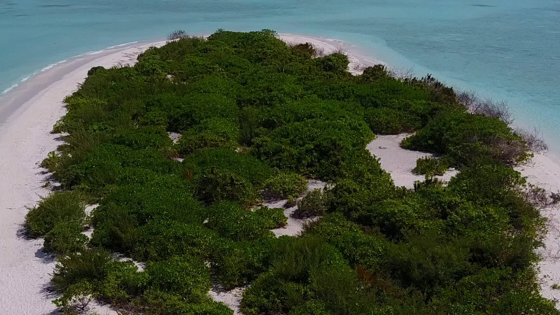 温暖的海滨探险之旅由绿松石环礁和白沙在阳光下进行视频的预览图