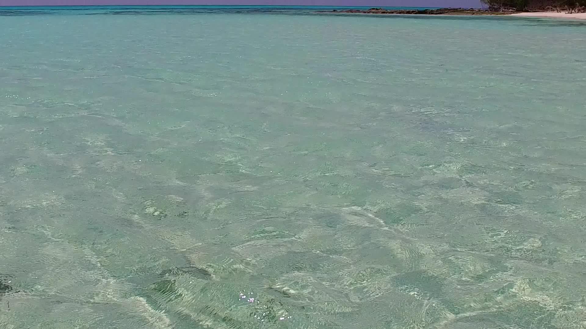 阳光明媚风景奇特阳光明媚的海滨海滩视频的预览图