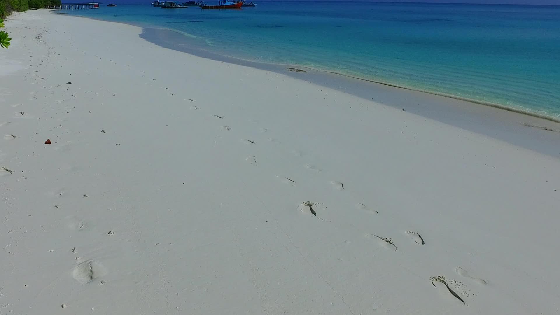 在清澈的环礁湖棕榈树附近有白色的沙子背景阳光明媚海岸奇特视频的预览图