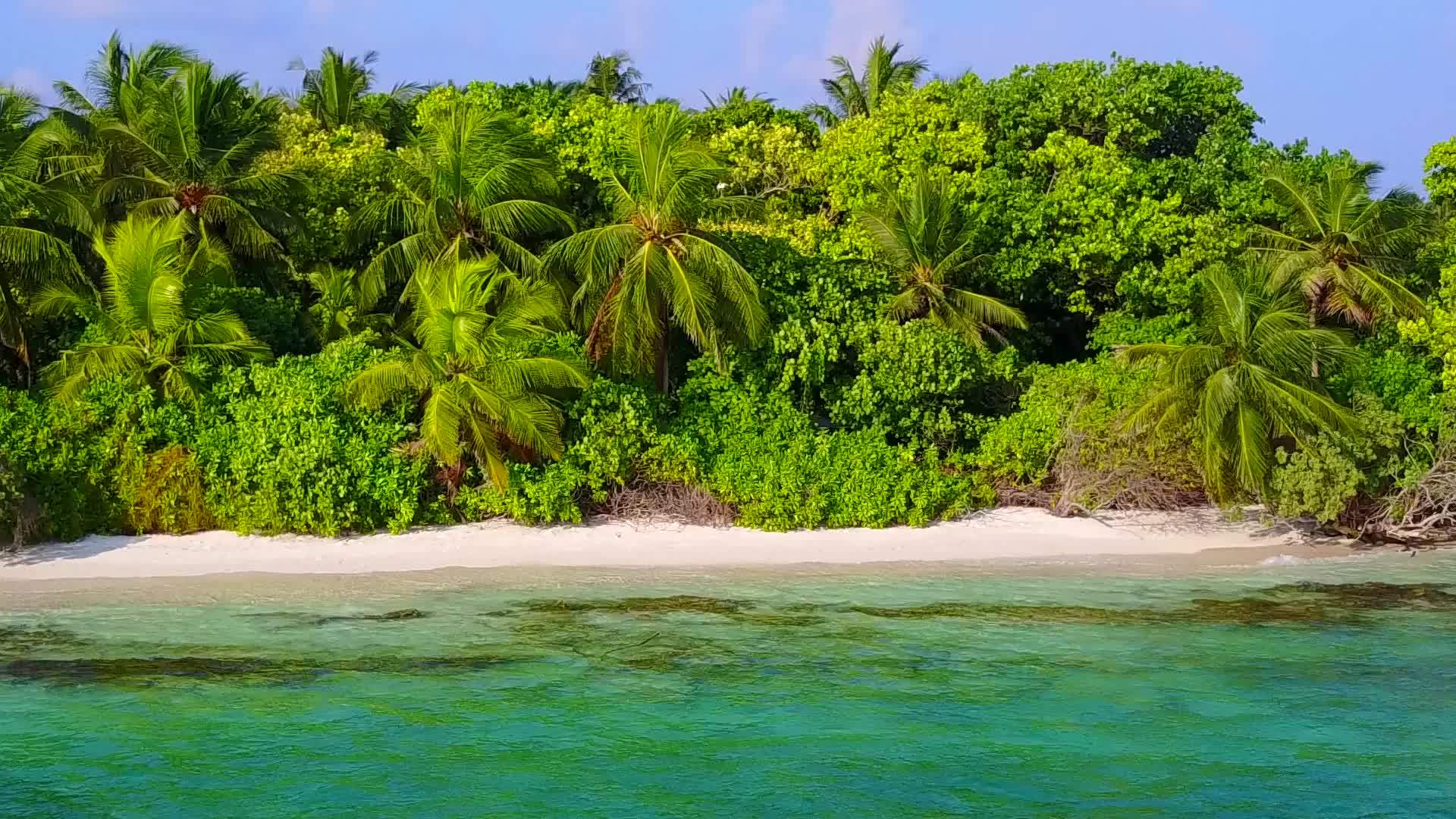 蓝海和近波旁清洁的海滩背景阳光明媚的环礁湖海滩潮流视频的预览图