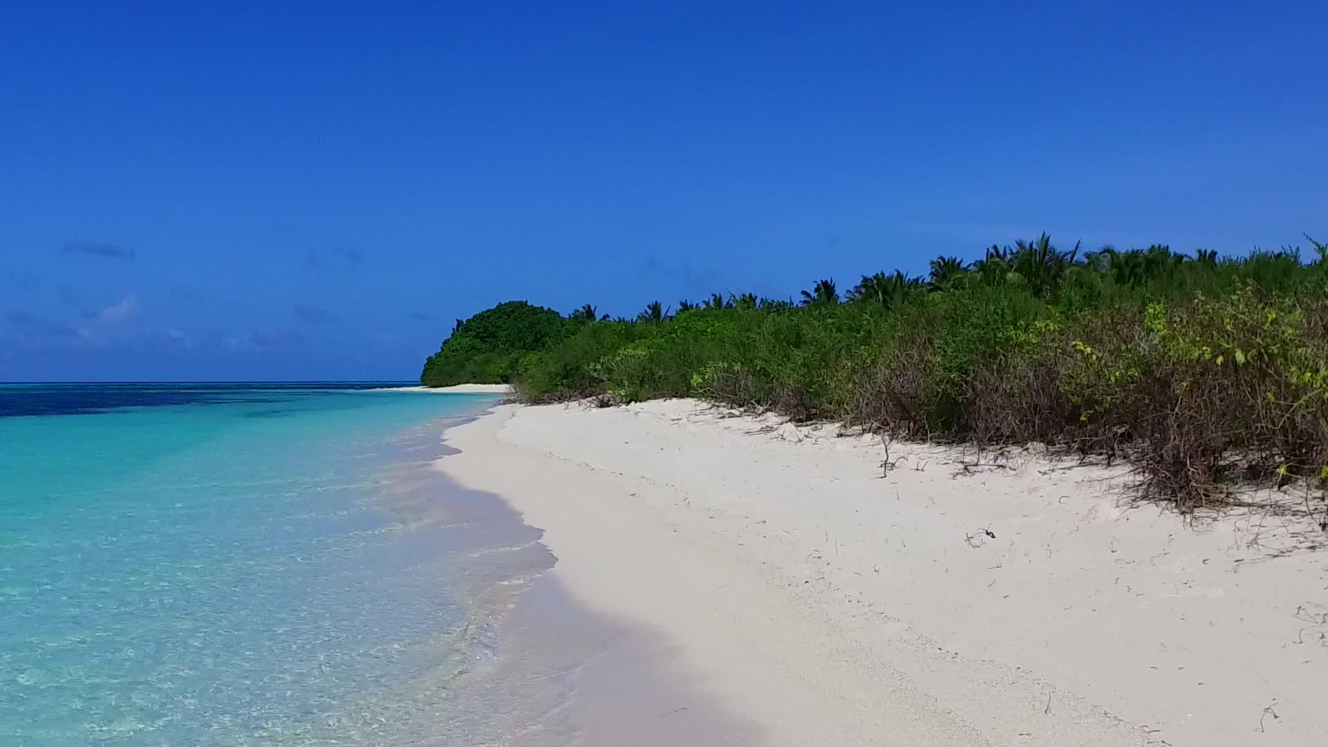 蓝色环礁湖和棕榈树附近白色沙底的平静旅游海滩视频的预览图