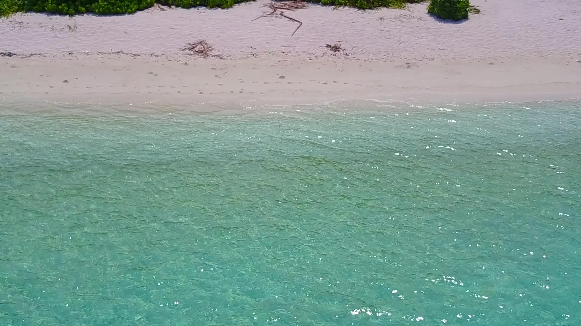 由松绿环礁湖和棕榈树附近的白沙背景组成的太背景组成视频的预览图