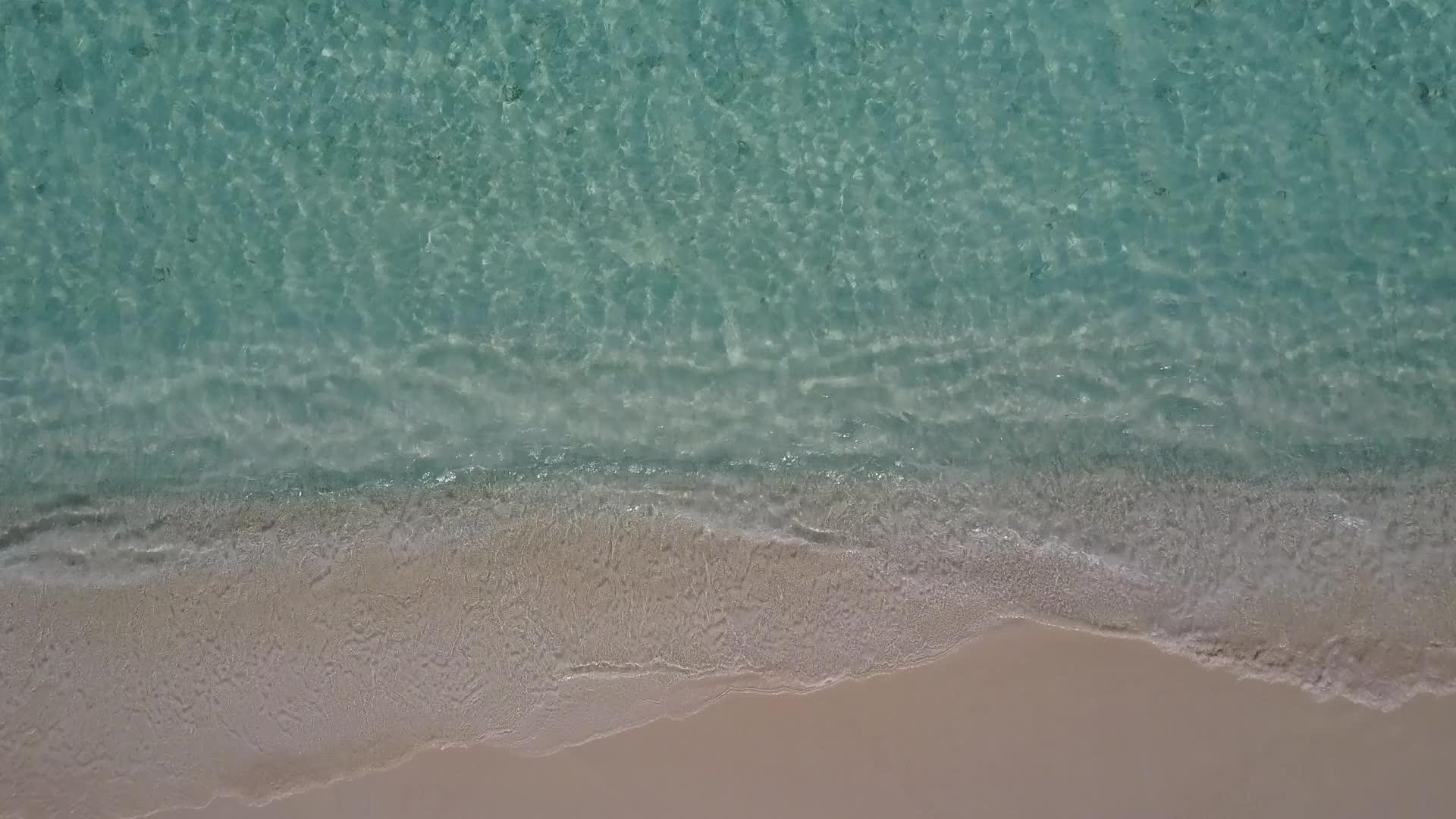 在透明的海洋棕榈树附近有一个白色的沙底背景白海是一个安静的海岸视频的预览图