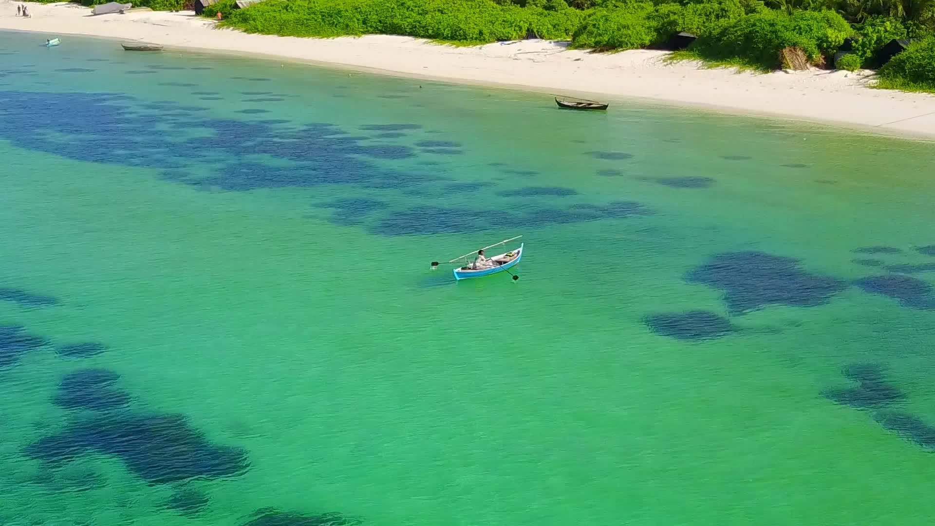 阳光明媚的热带海岸海滩野生生物旅游在海浪附近视频的预览图