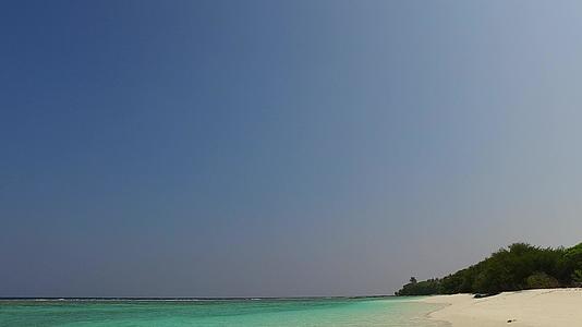 蓝色和白沙背景下的浅滩野生动物靠近棕榈树阳光明媚的海景视频的预览图