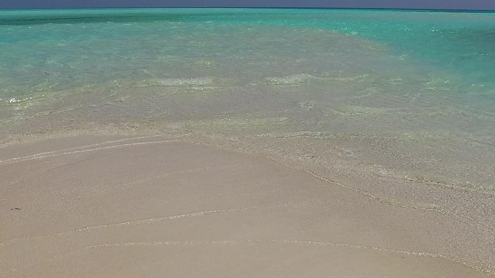 沿海海滩的野生生物通过水蓝色的水和接近冲浪的白色沙滩背景平静视频的预览图