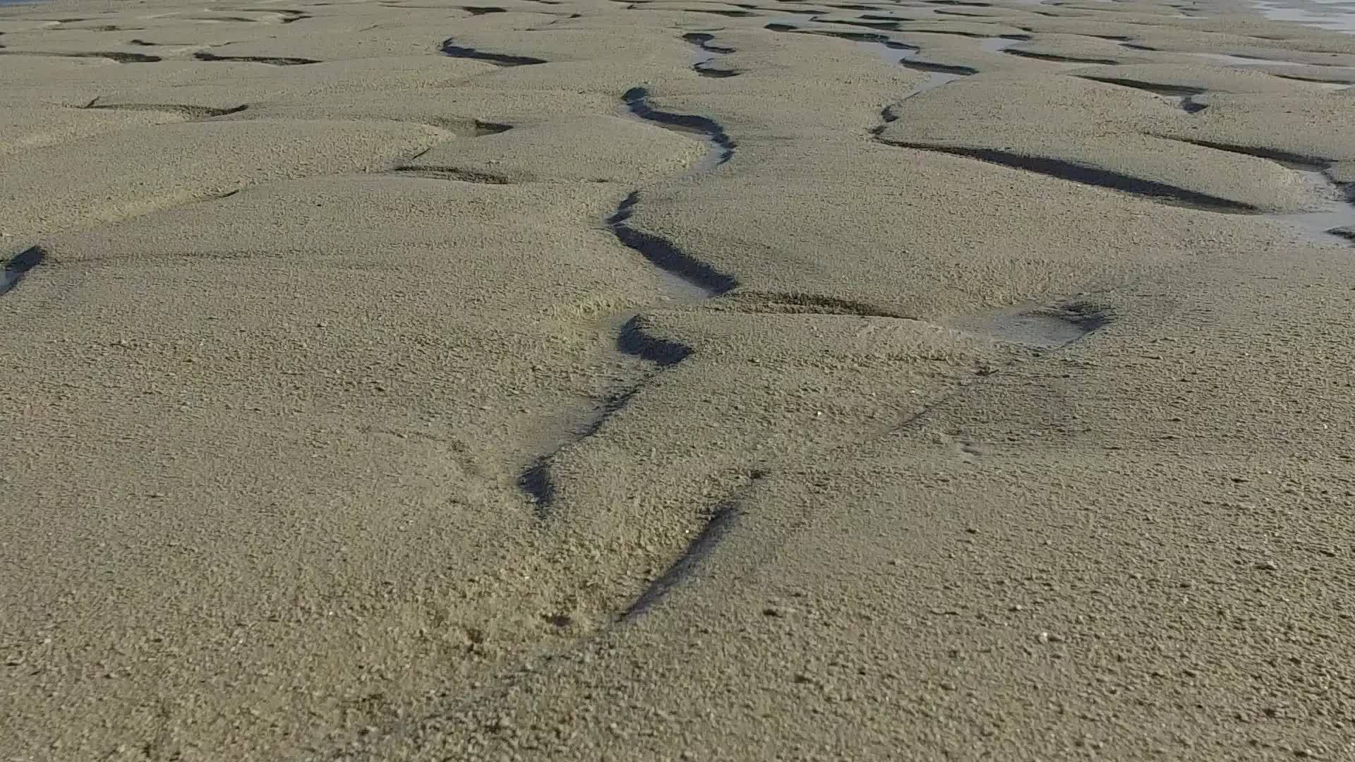 在清海珊瑚礁附近有一个白色的沙子背景坐在长滩的白沙后面视频的预览图