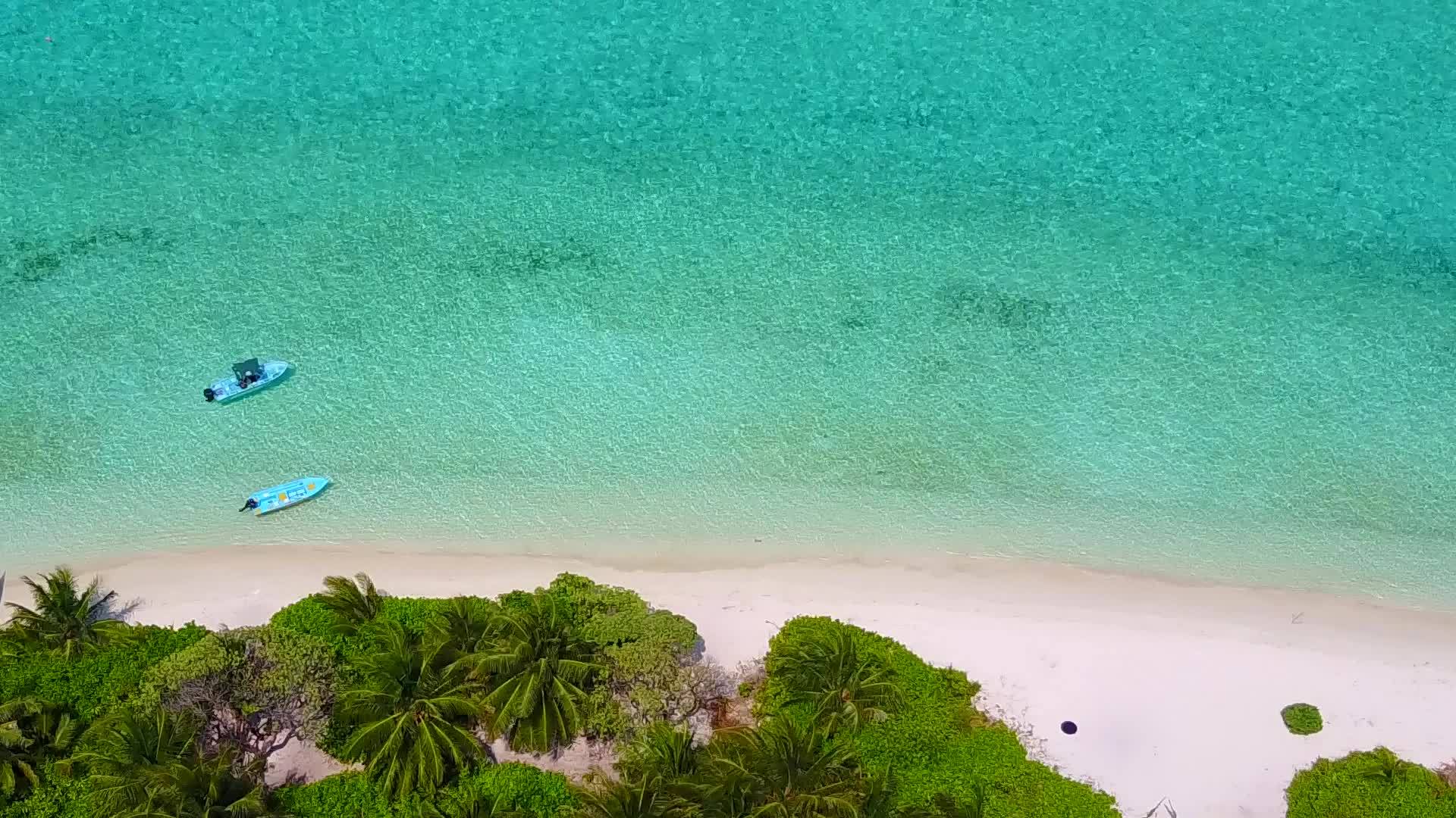 热带海岸海滩旅游热带海岸蓝色海洋和棕榈树白沙背景视频的预览图