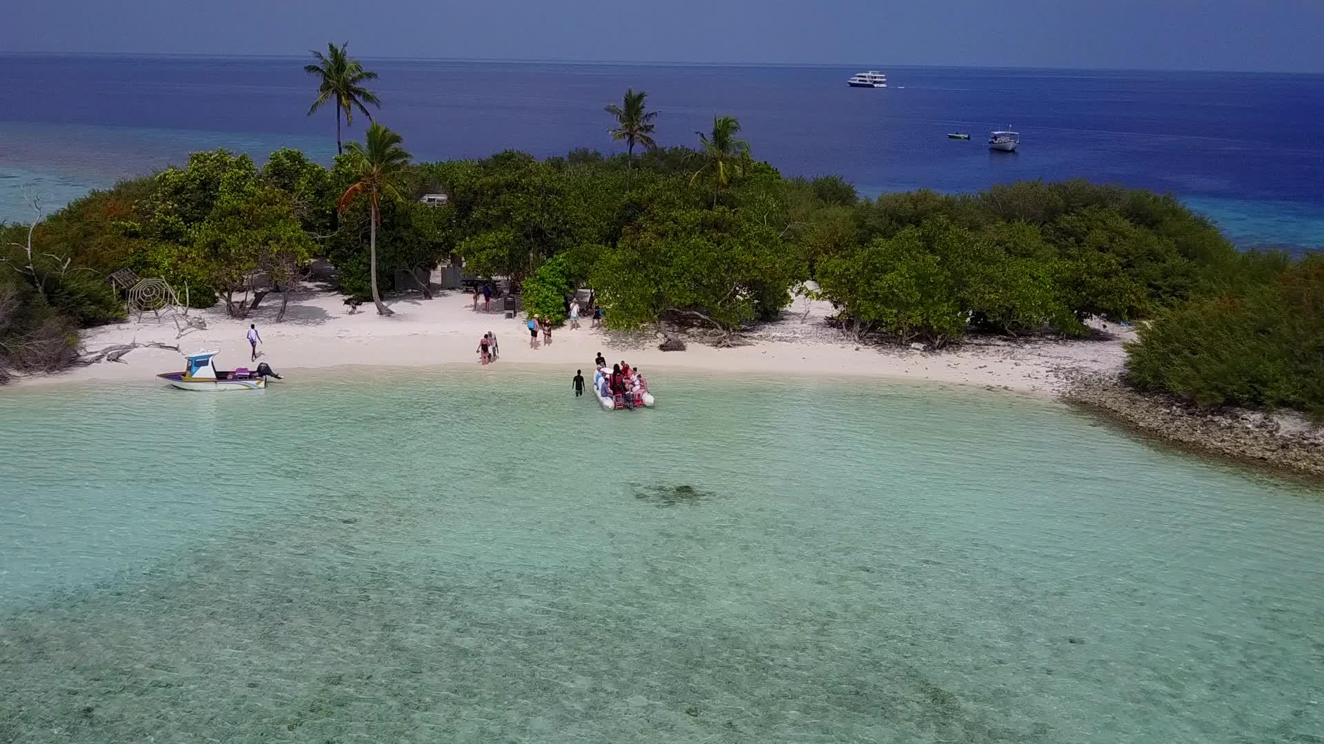 以海平面和棕榈树附近的清洁沙地为例观看海滨节日视频的预览图