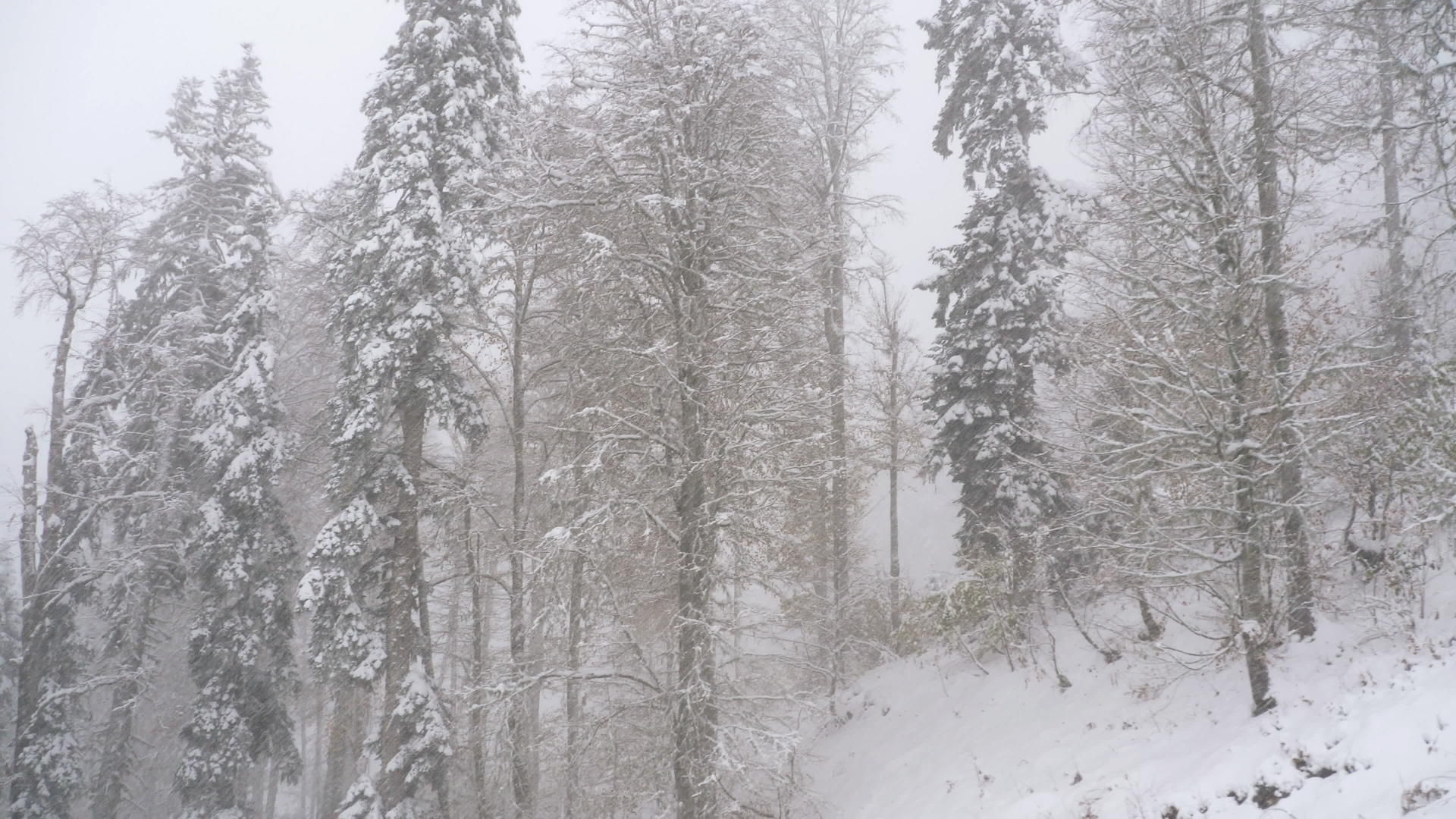 从有线汽车歌多拉在大雪瀑布上移动的场景视频的预览图