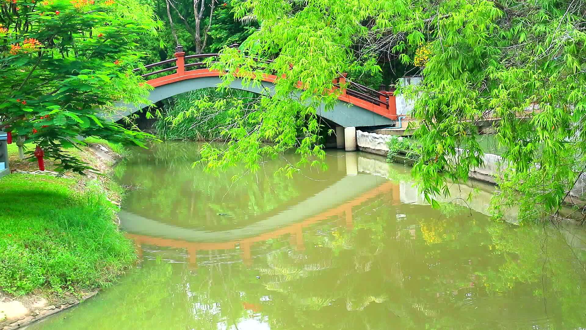 公园湖上的湖和水上竹枝上的湖反射桥视频的预览图