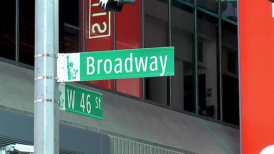 纽约曼哈顿街名牌视频的预览图