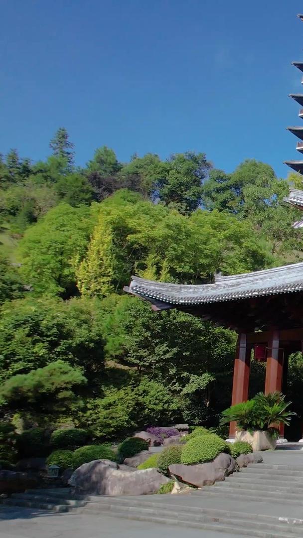 5A景区浙江衢州根宫佛教文化根雕博物馆航拍视频视频的预览图